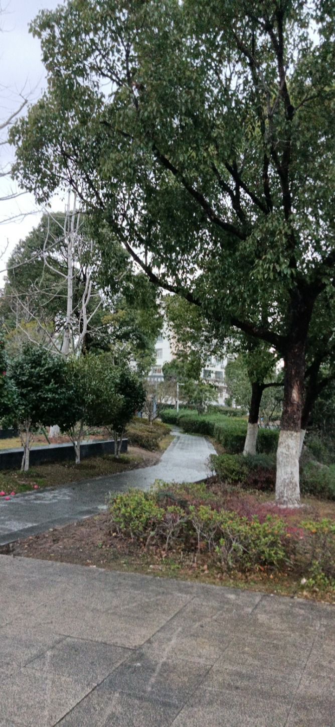 石榴园旅行图片 3