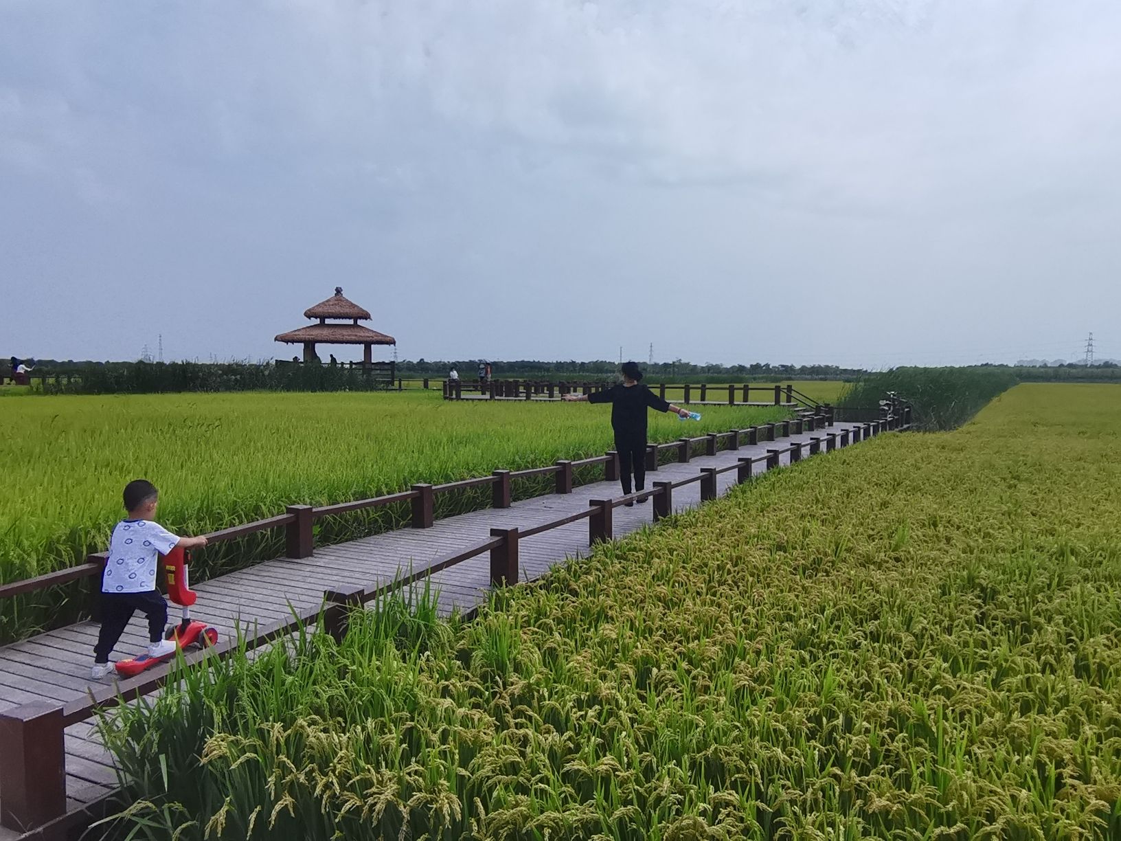 绿屏·咸水沽湾瞭望塔旅行图片 3