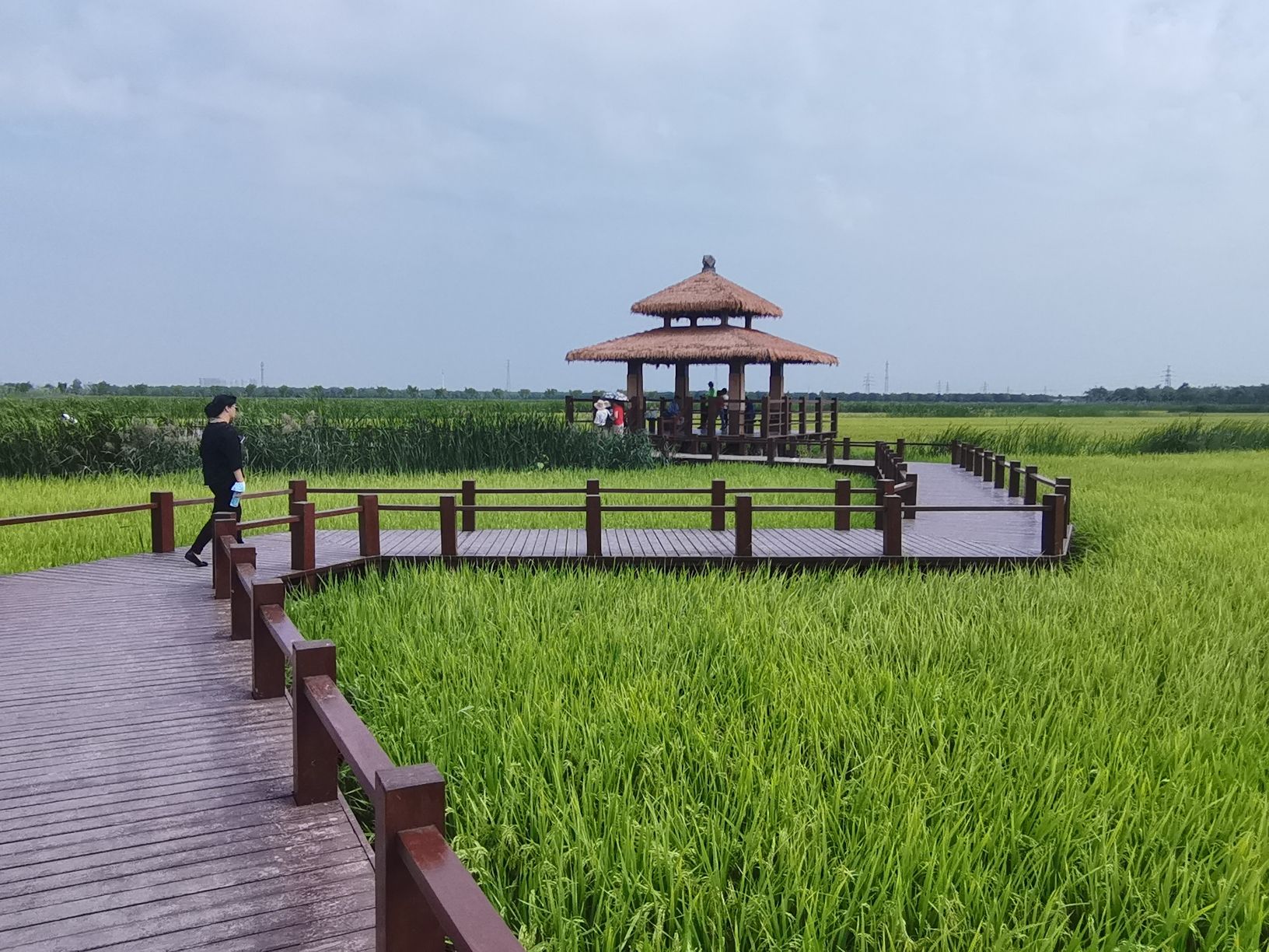 绿屏·咸水沽湾瞭望塔旅行图片 2