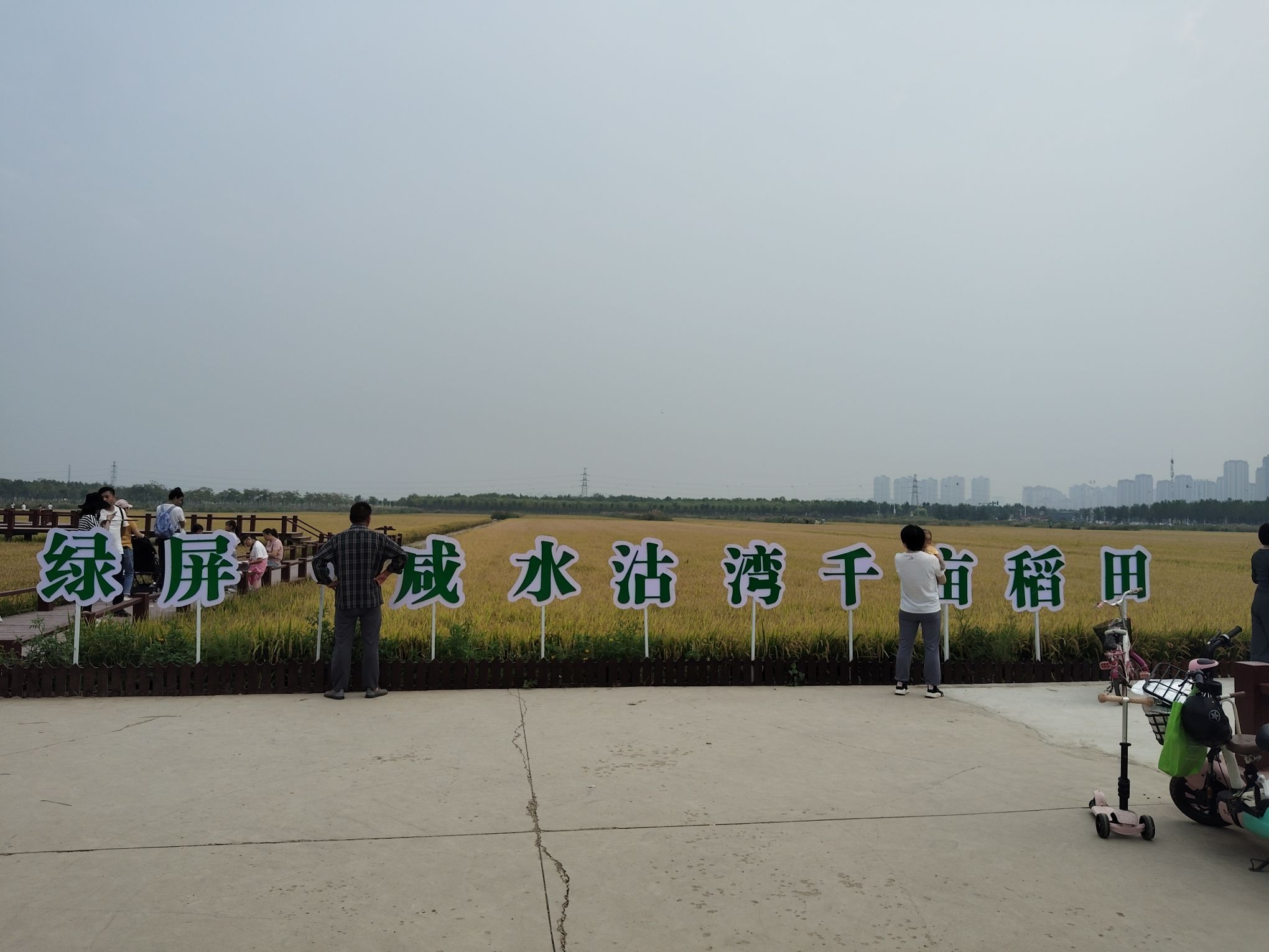 绿屏·咸水沽湾瞭望塔旅行图片 2