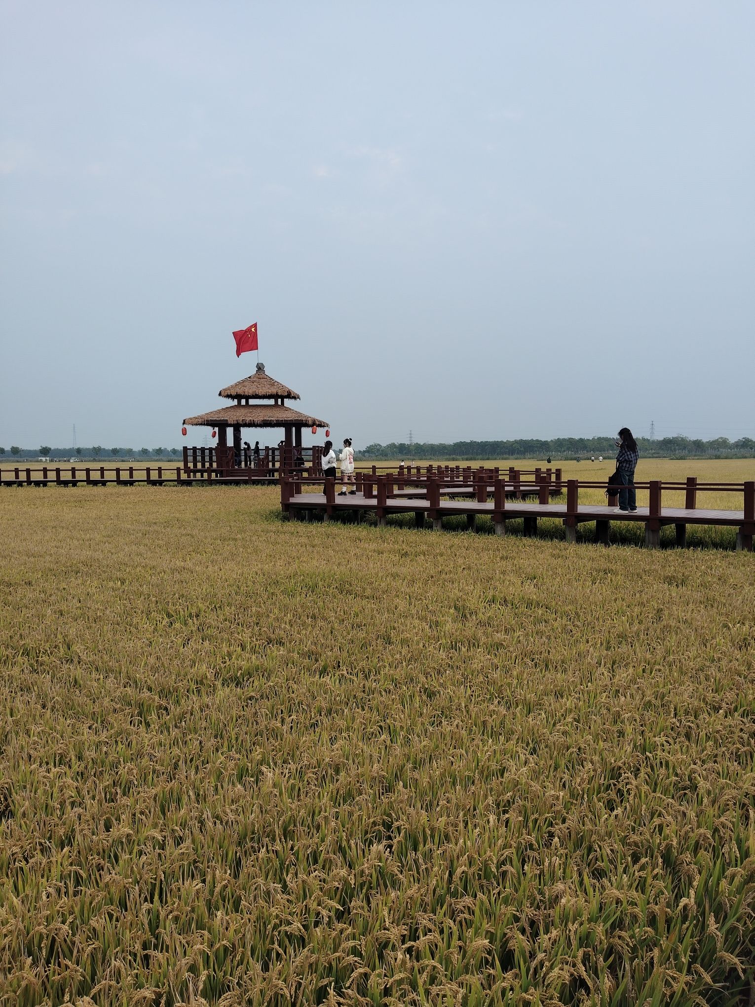 绿屏·咸水沽湾瞭望塔旅行图片 1