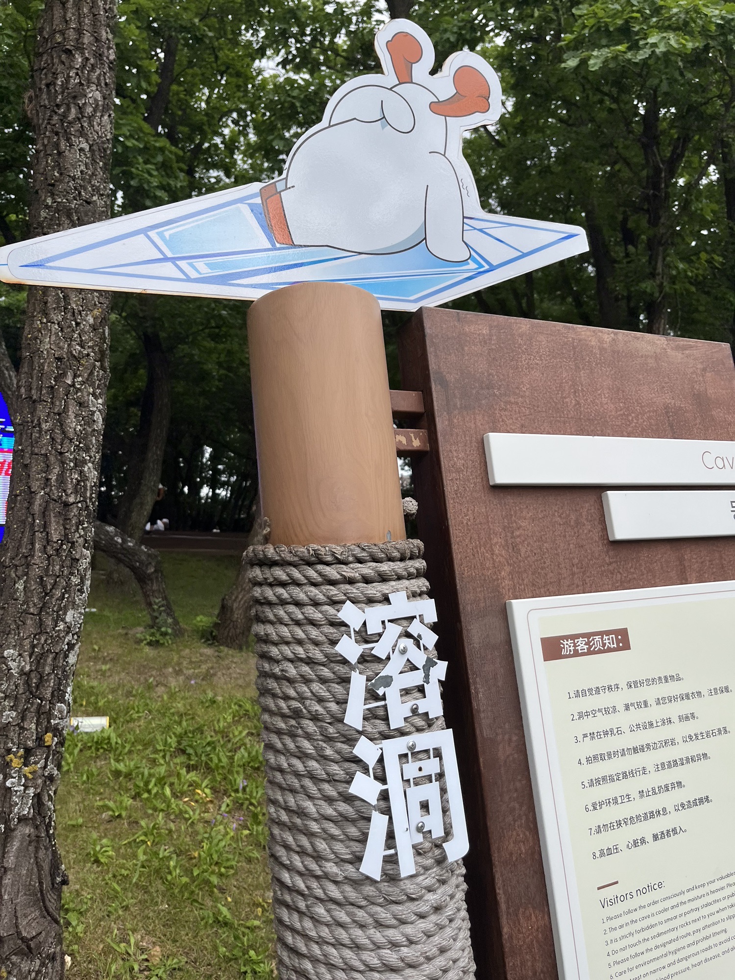 神鹿峰旅游度假区(暂停开放)旅行图片 2