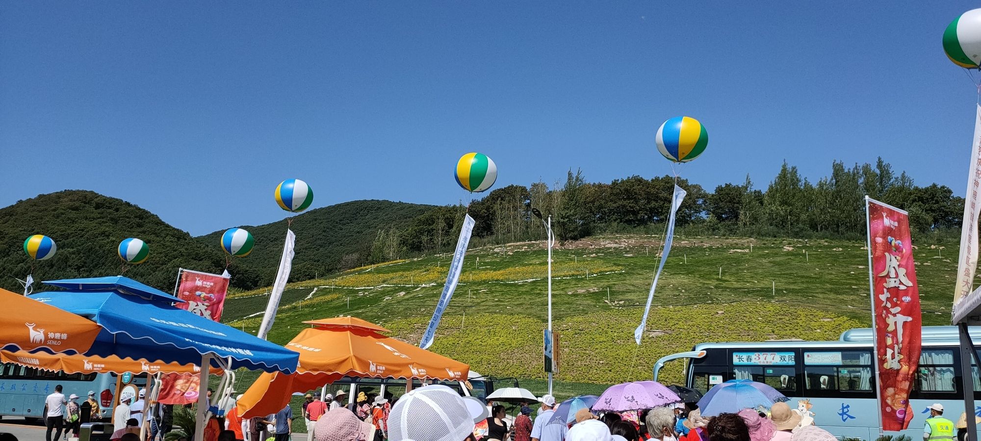 神鹿峰旅游度假区(暂停开放)旅行图片 3