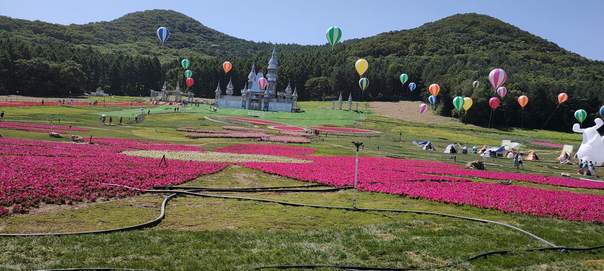 神鹿峰旅游度假区(暂停开放)旅行图片 1