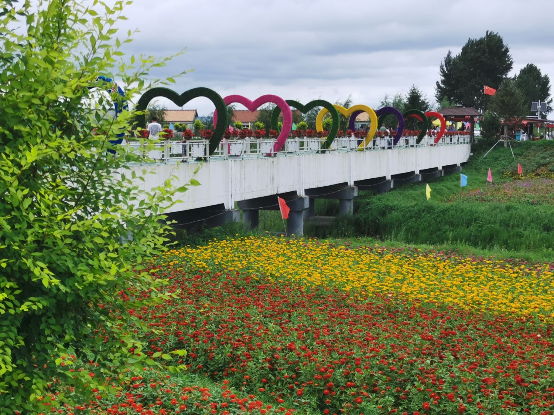 前岗子村花海旅行图片 1