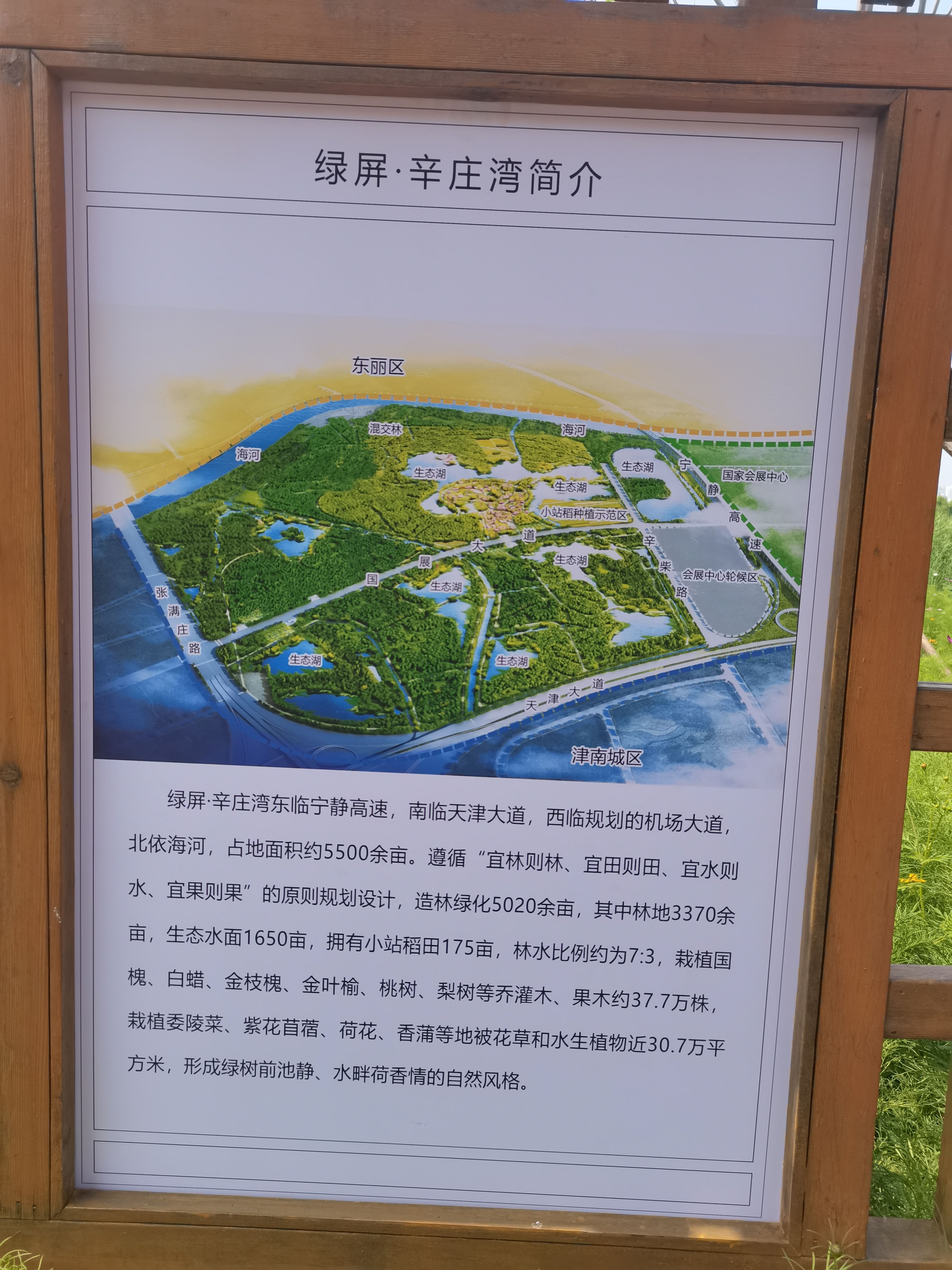绿屏·辛庄湾瞭望塔旅行图片 3