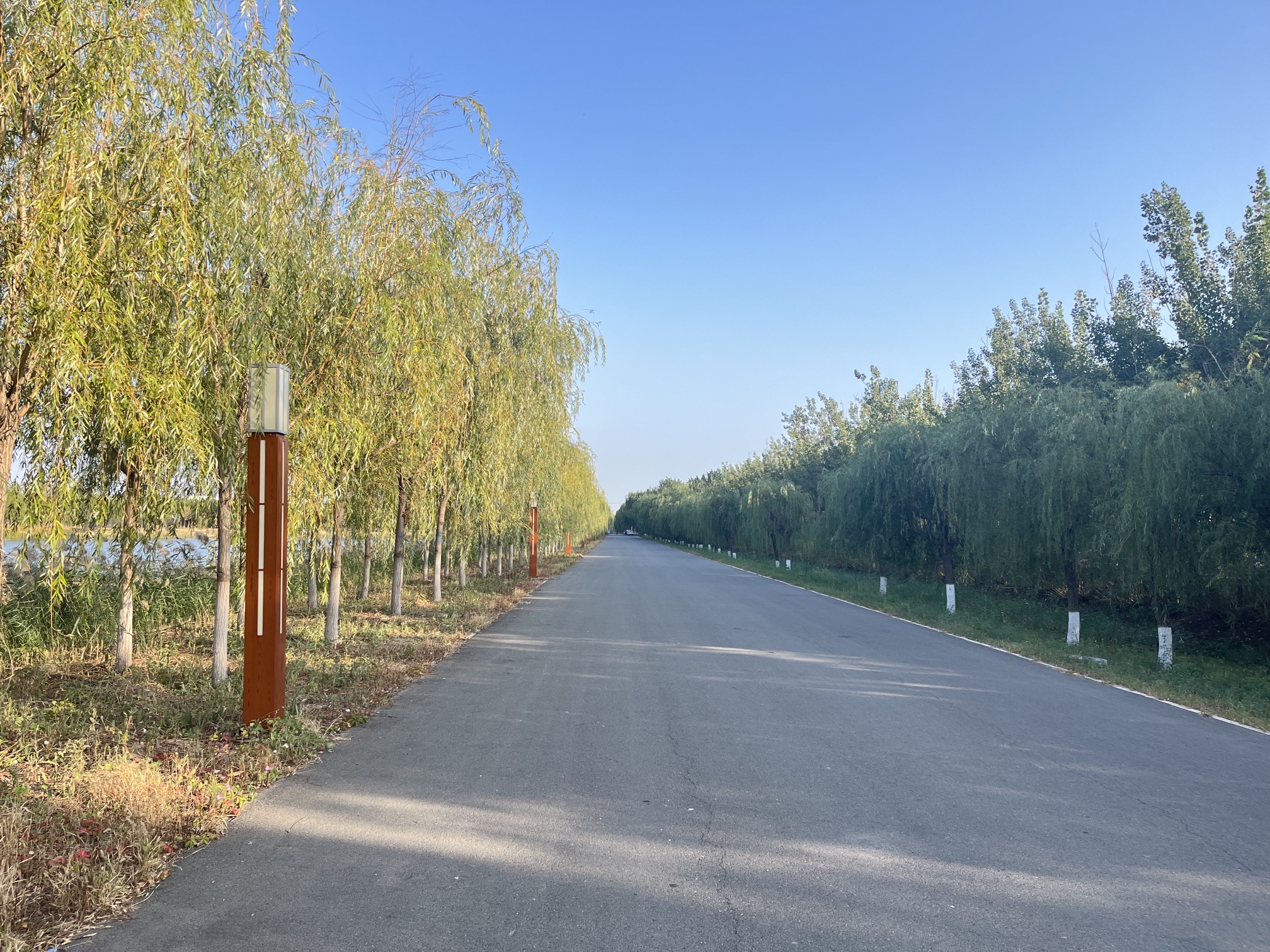 绿屏·咸水沽湾旅行图片 1