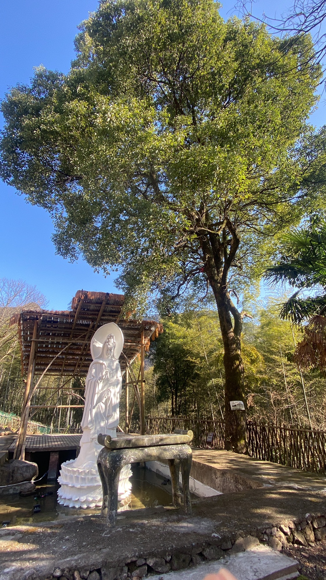 黄冈山景区旅行图片 3