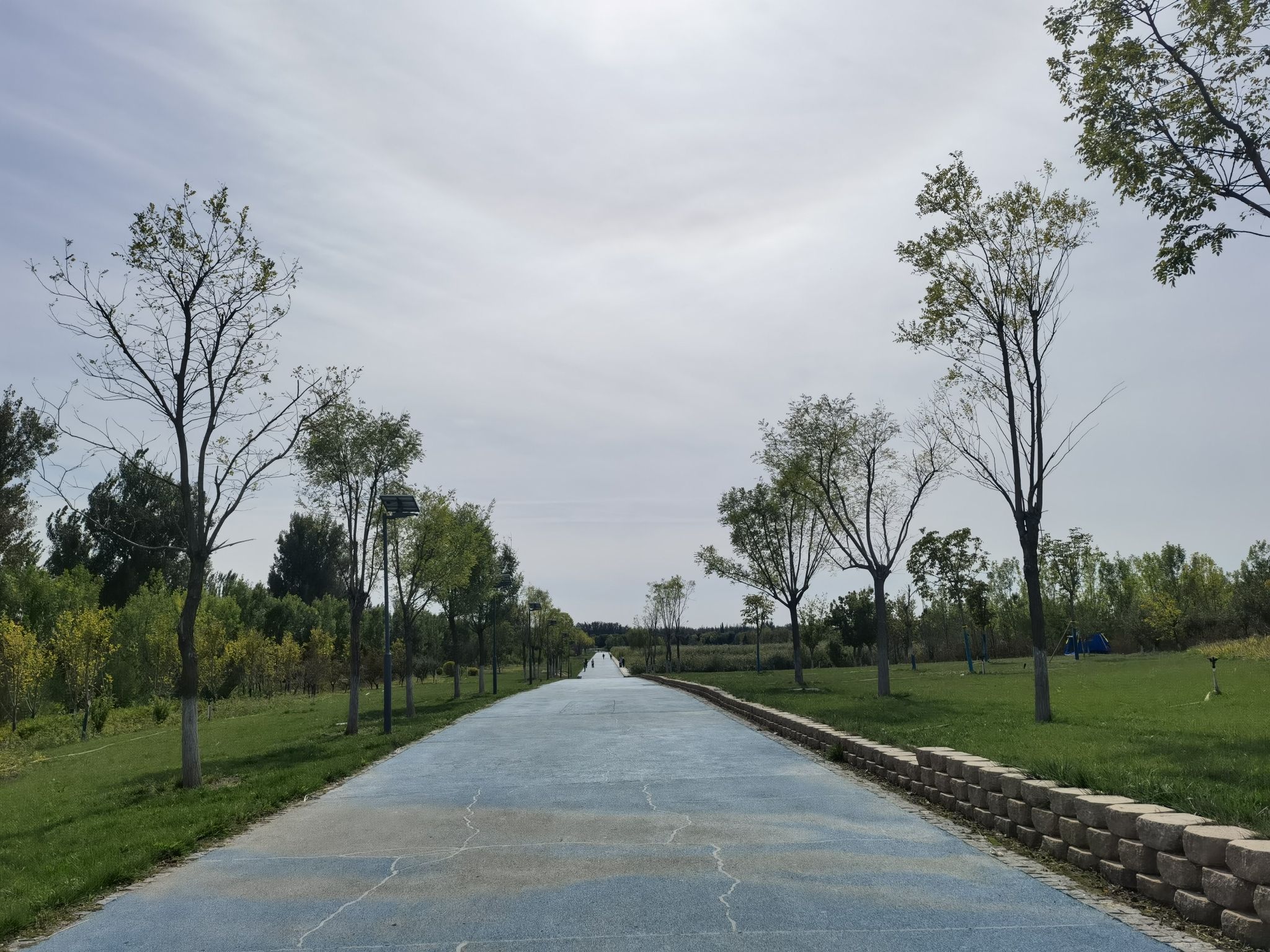 新西凤渠湿地公园旅行图片 3