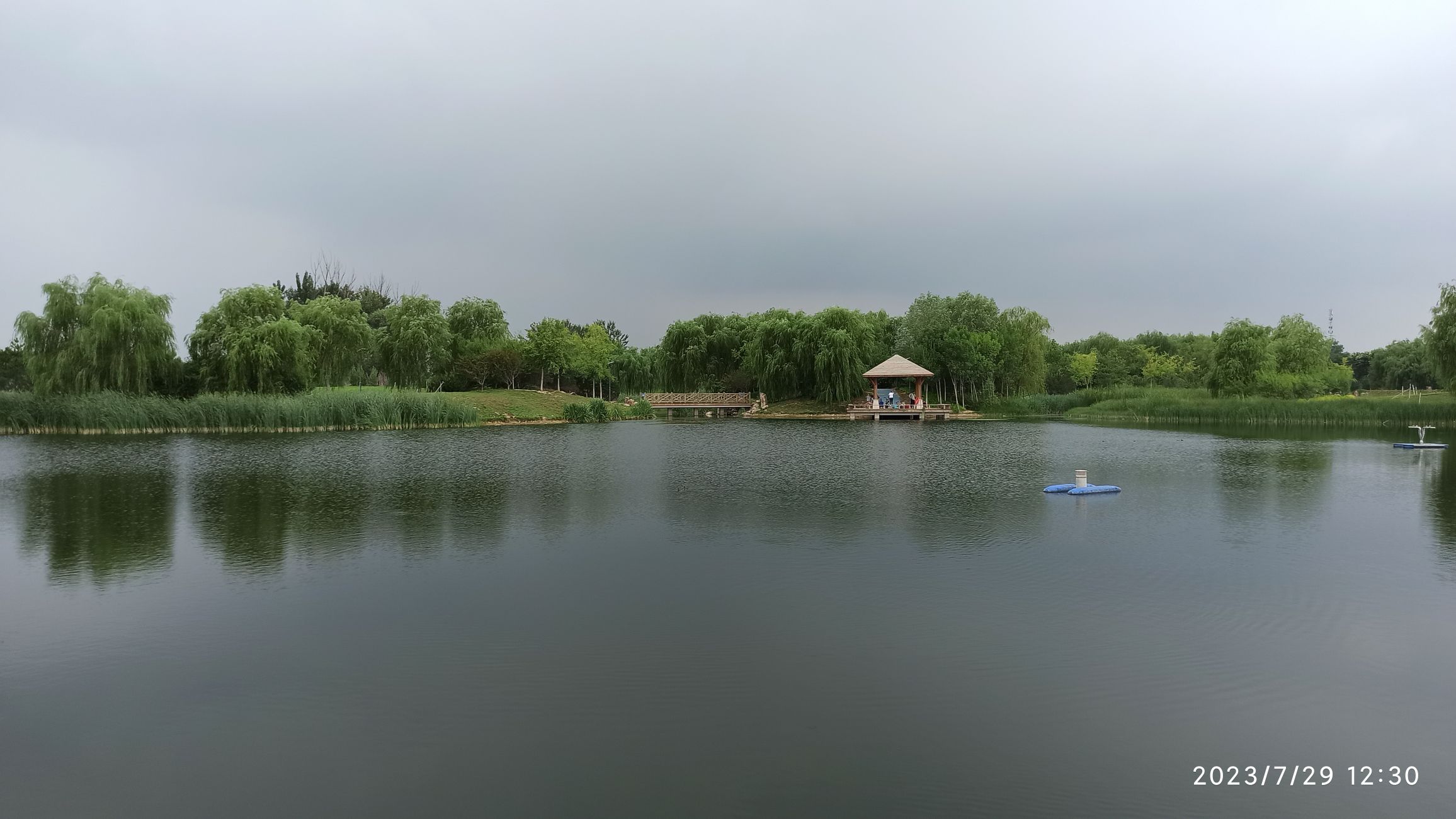 新西凤渠湿地公园旅行图片 1