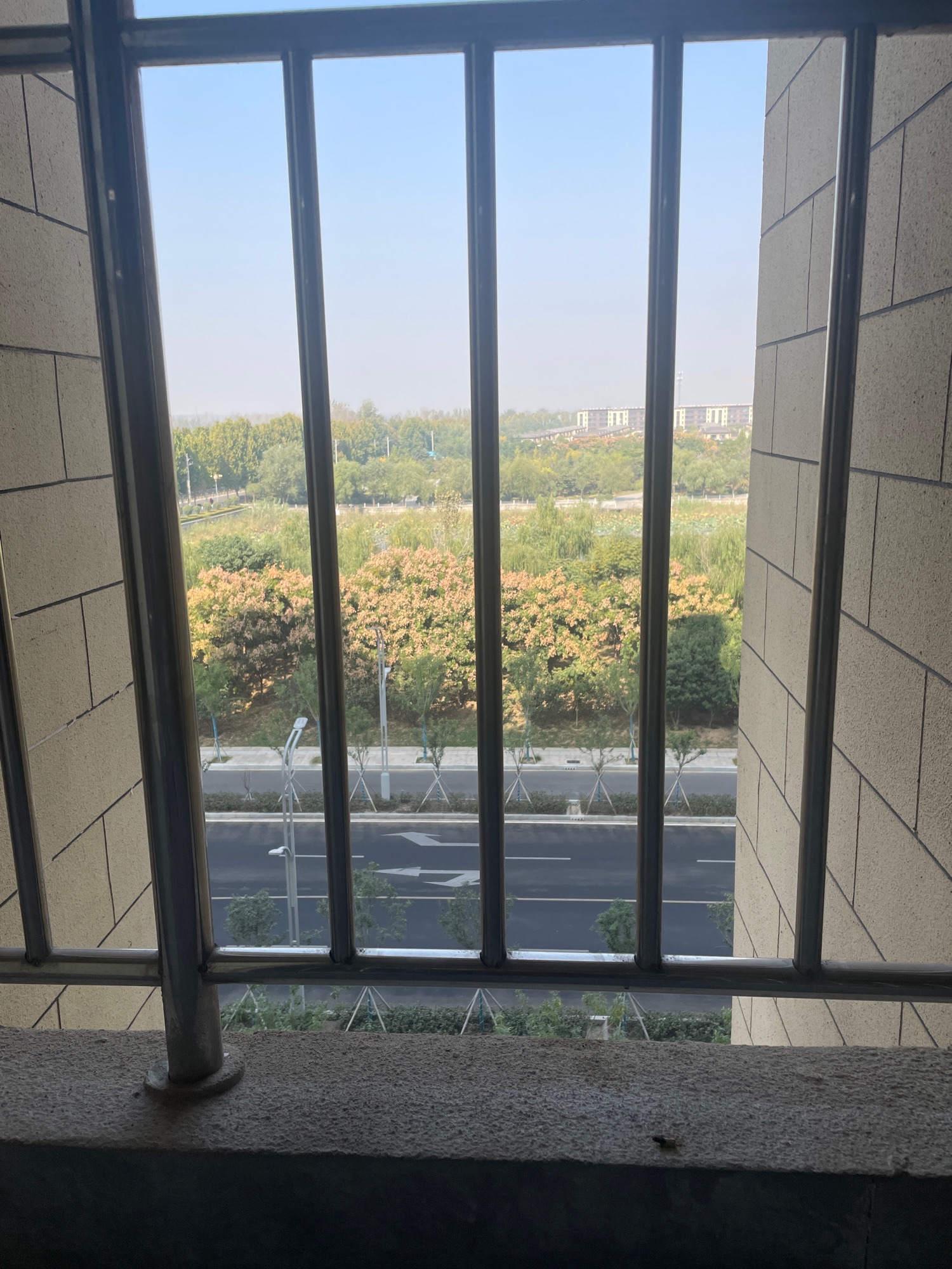 体育公园旅行图片 1