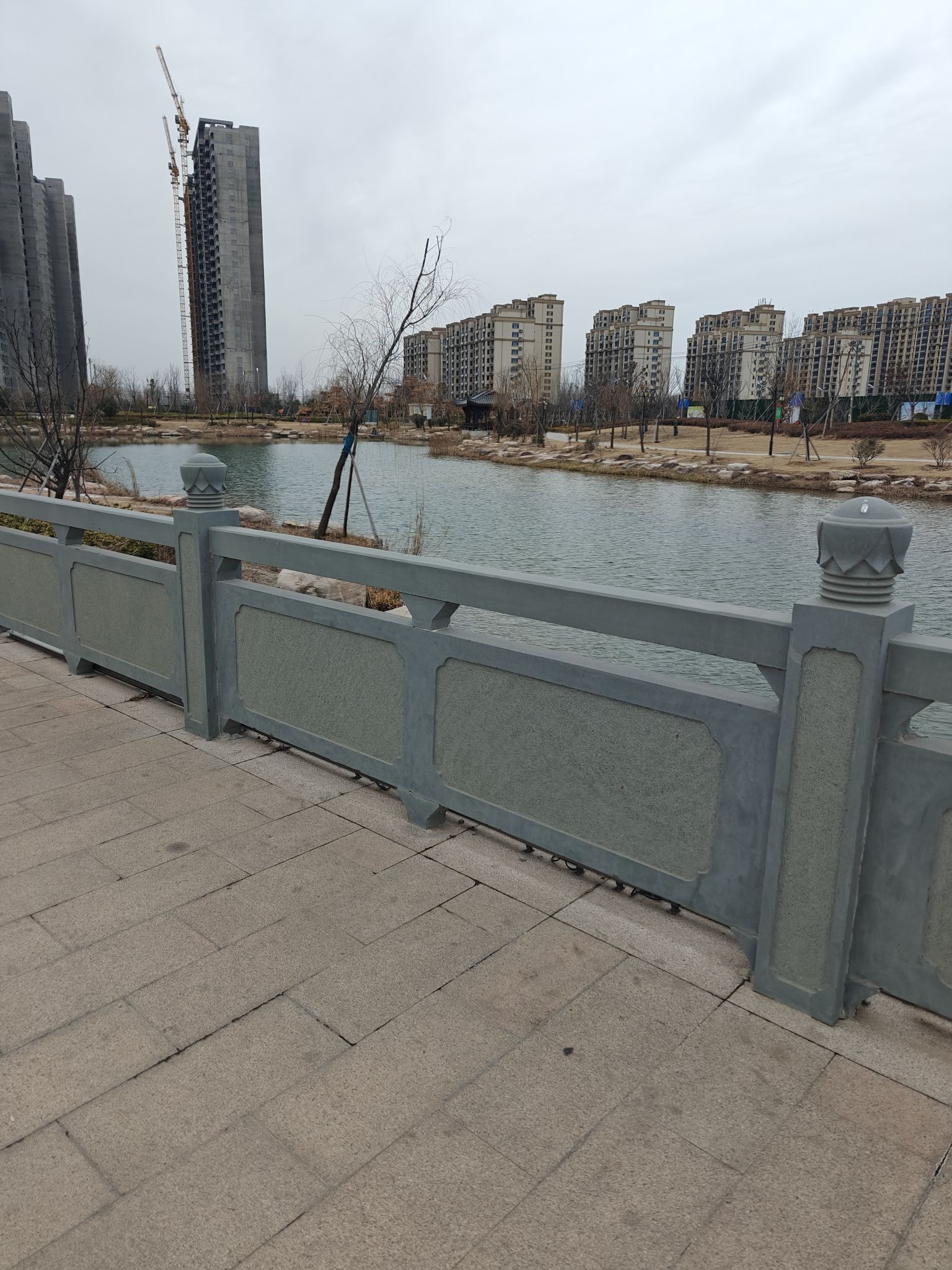体育公园旅行图片 1