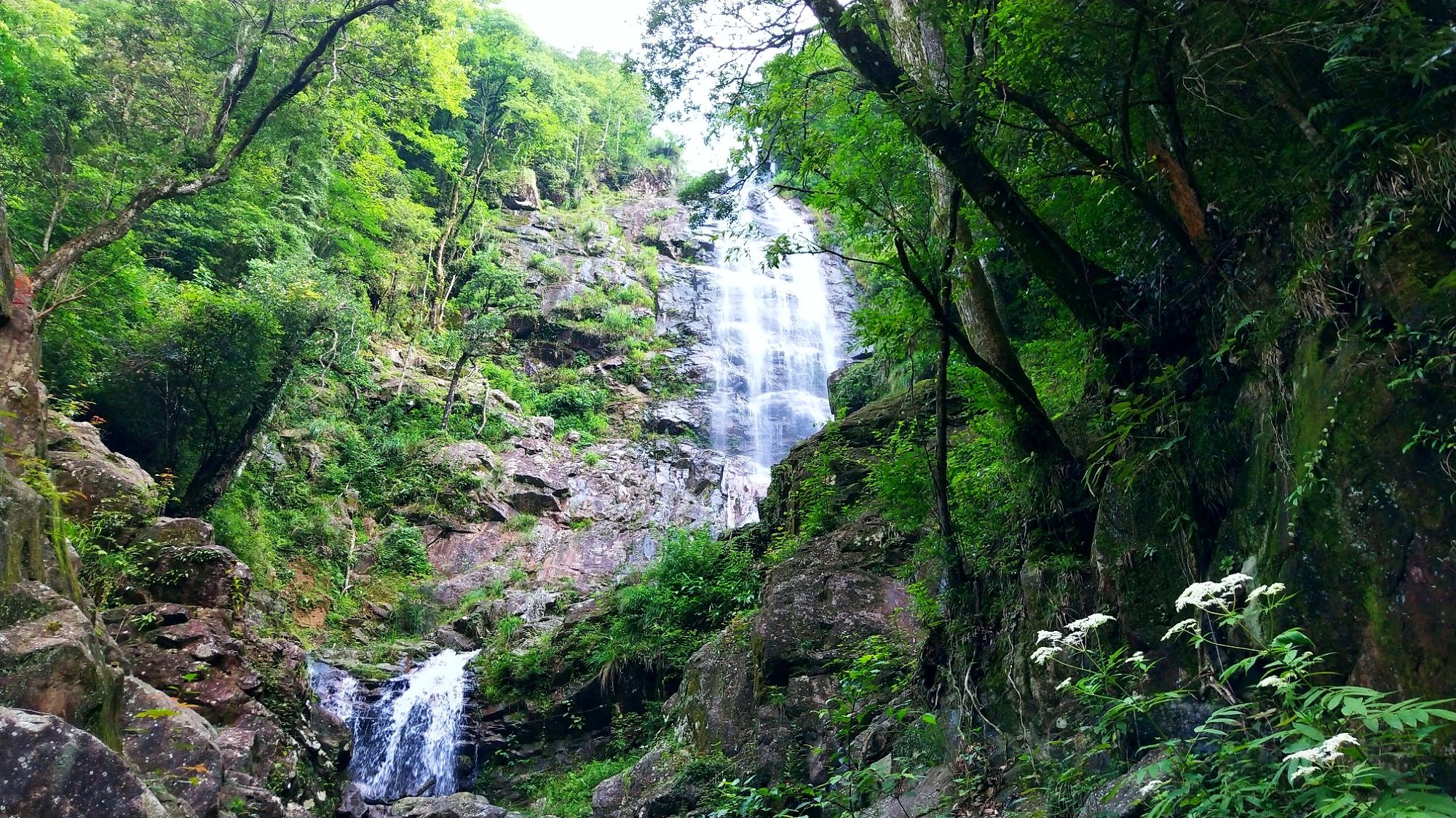 千年鸟道-桐古民俗度假村旅行图片 1