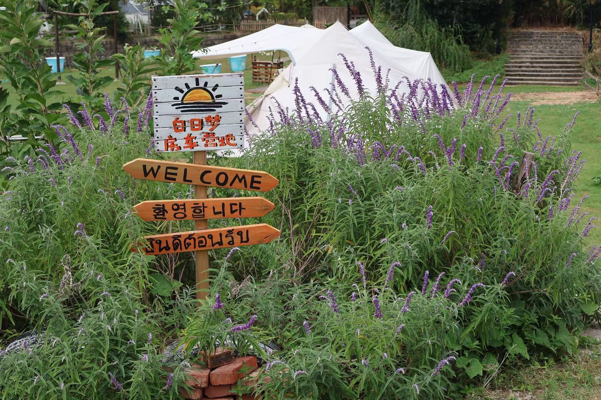 场地封面-白日梦房车营地