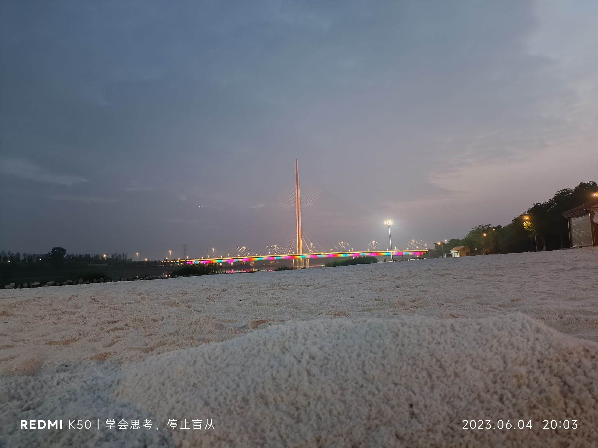 焦作大沙河沙滩旅行图片 3
