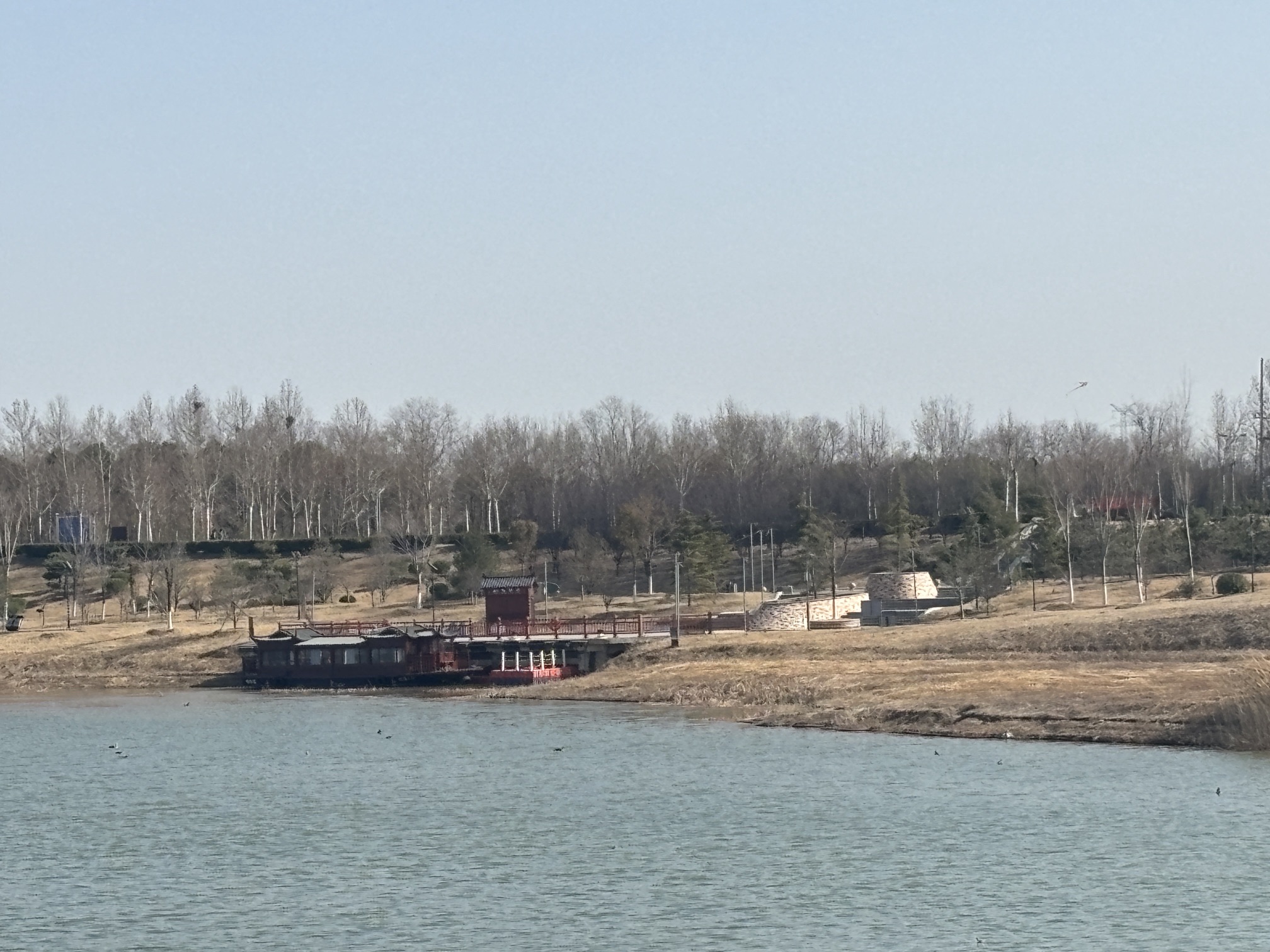 焦作大沙河沙滩旅行图片 1
