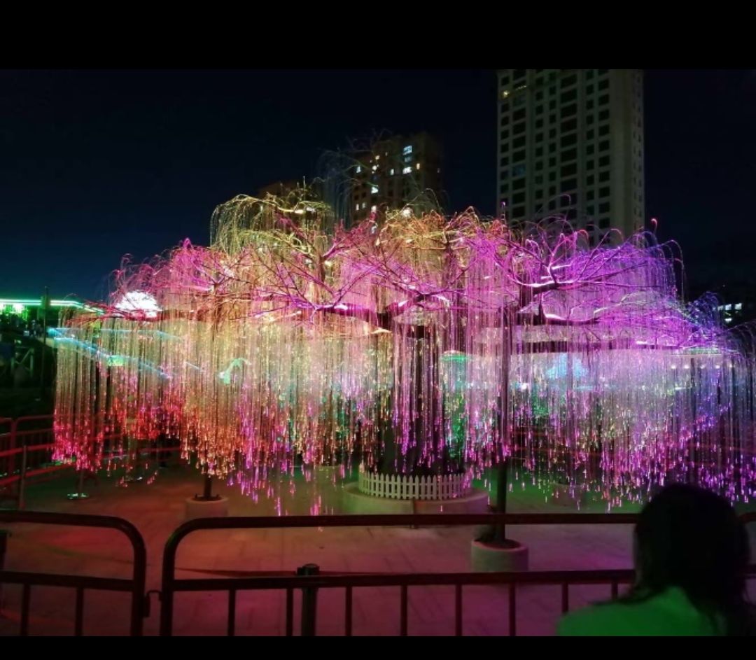 丁香公园旅行图片 2