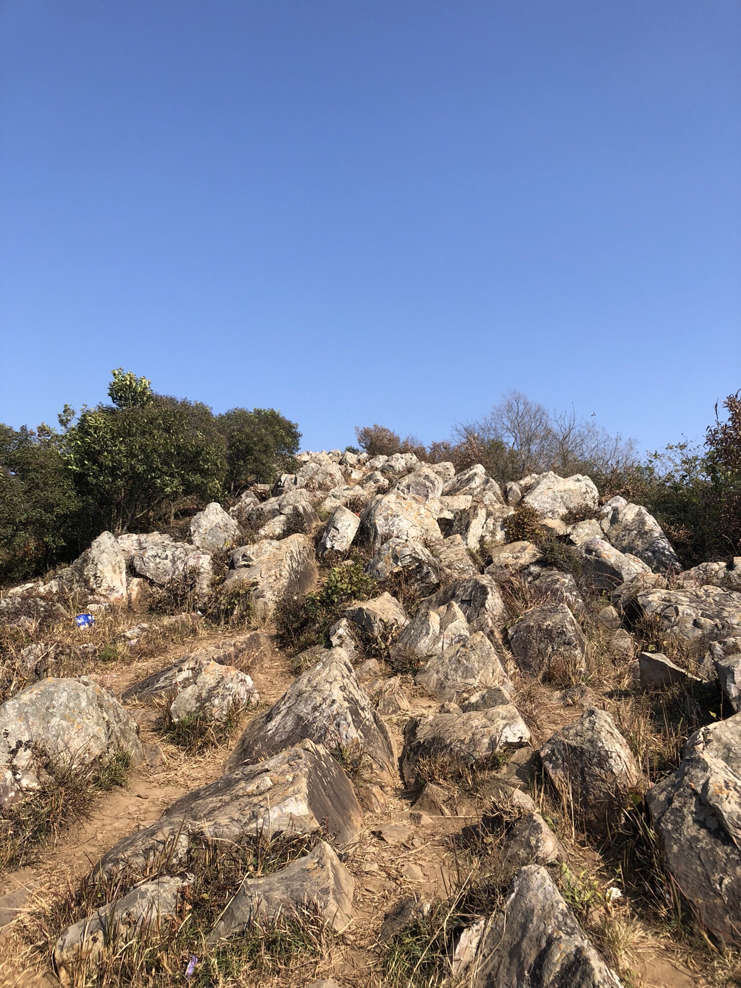 东顾山公园旅行图片 1