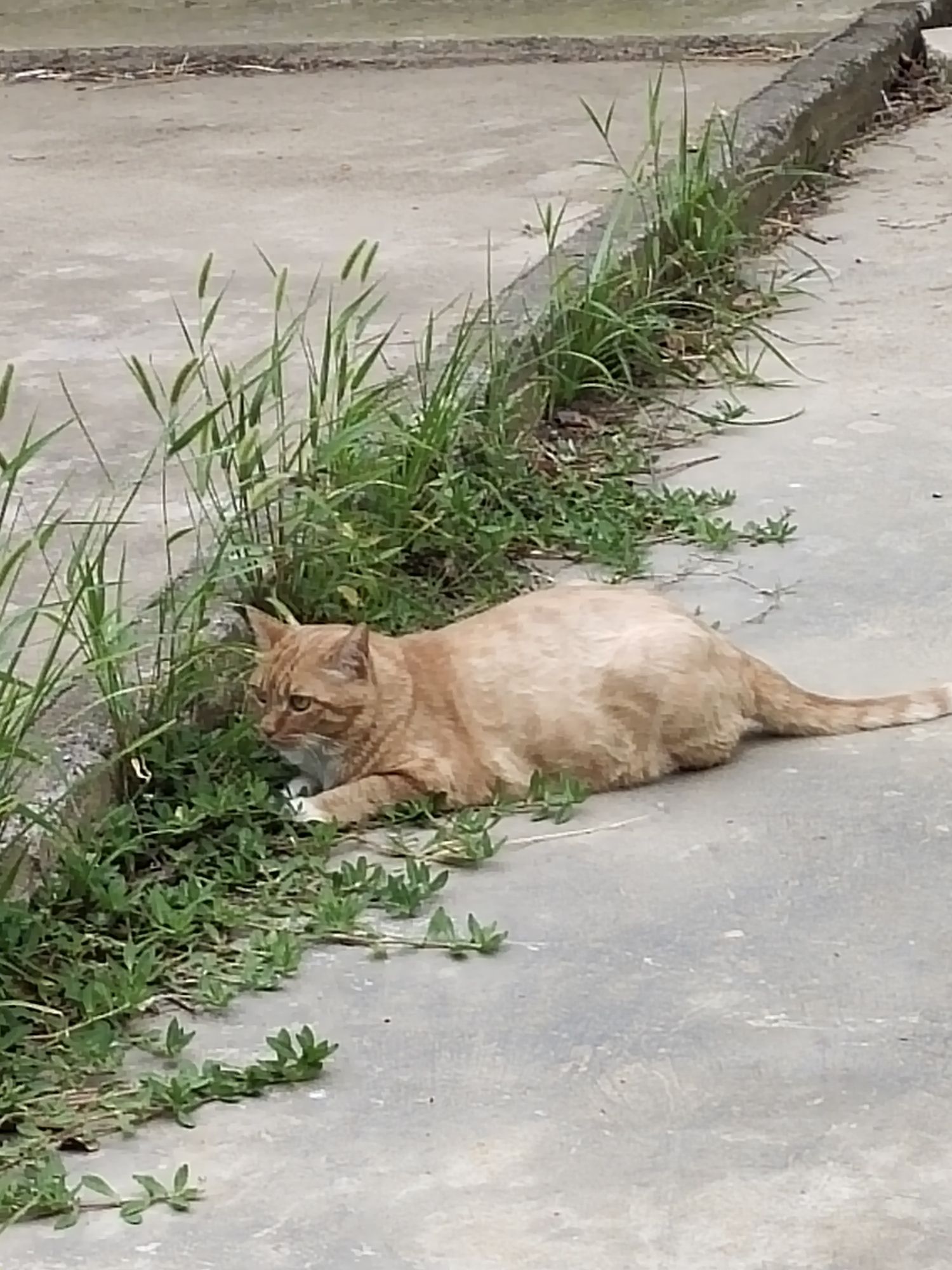 东顾山公园旅行图片 2