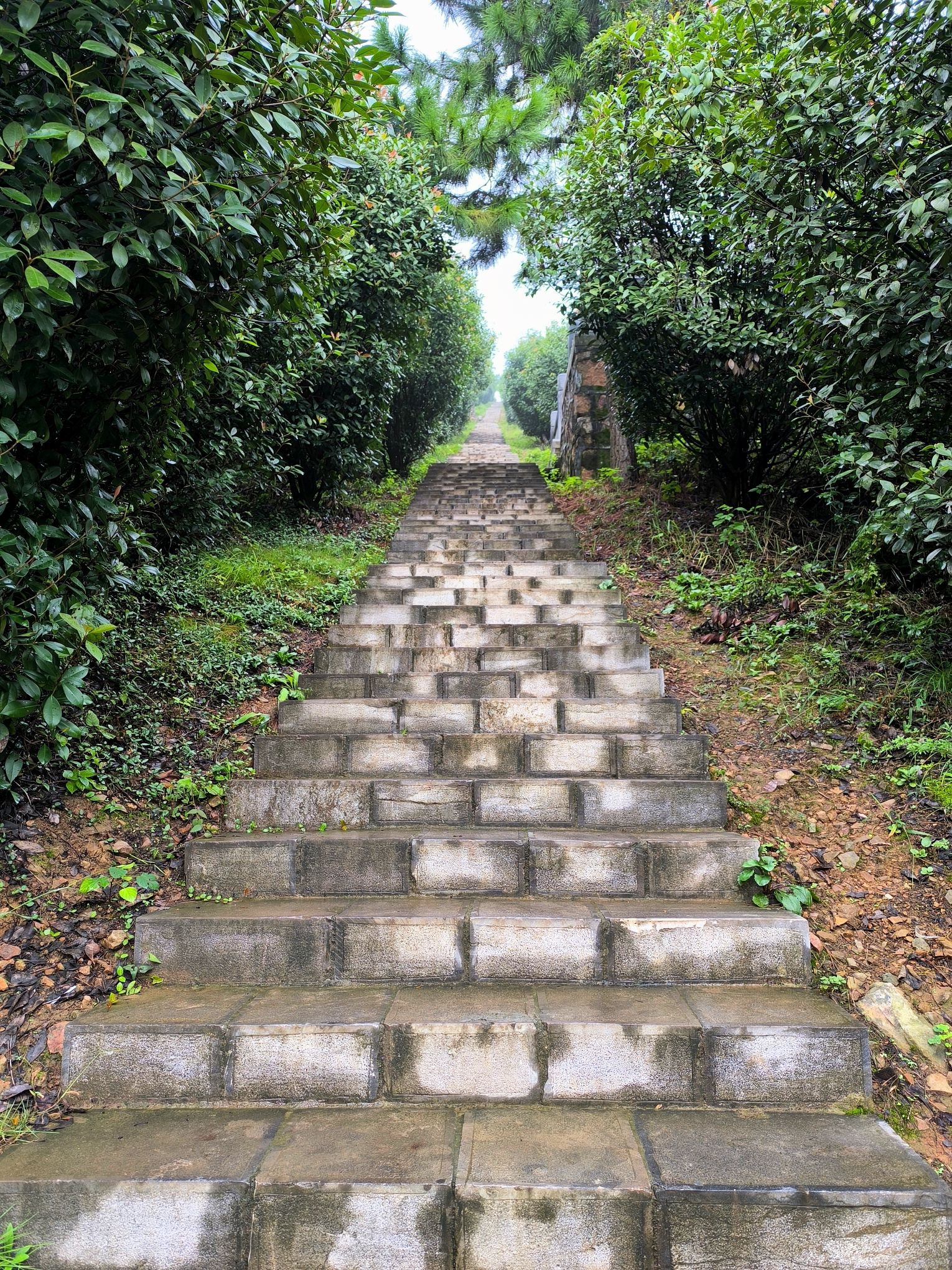 东顾山公园旅行图片 1