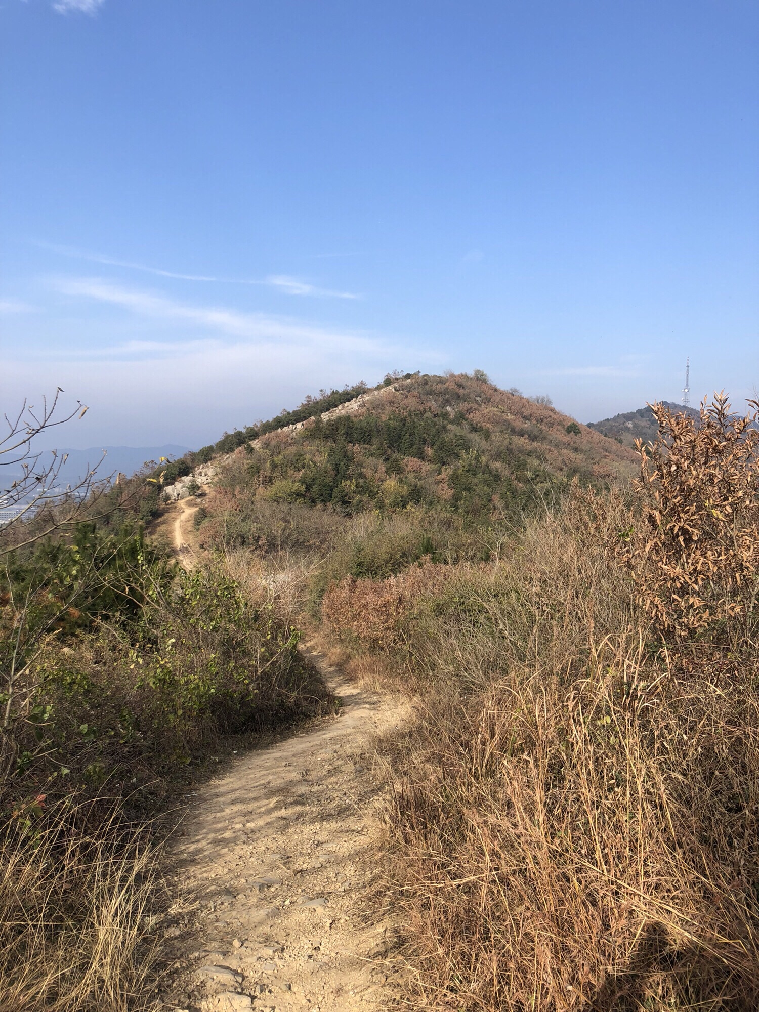 东顾山公园旅行图片 3
