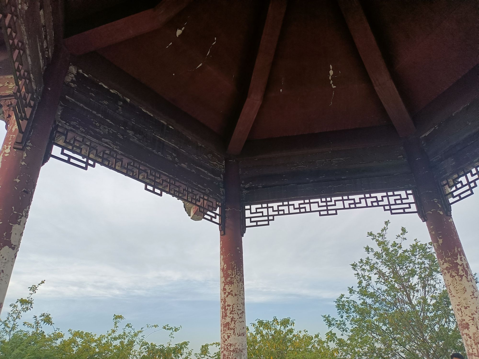 东顾山公园旅行图片 1