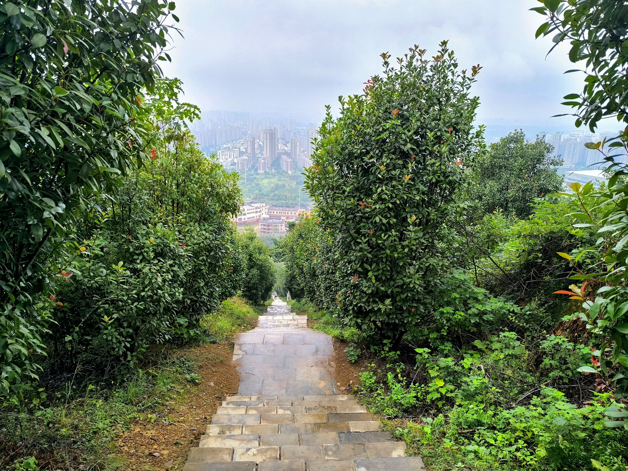 东顾山公园旅行图片 2