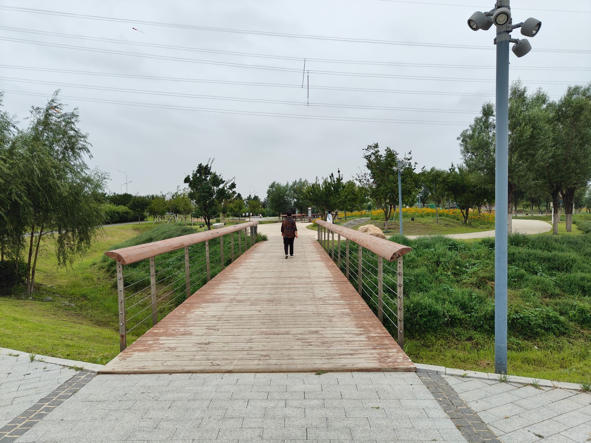 河口公园旅行图片 3