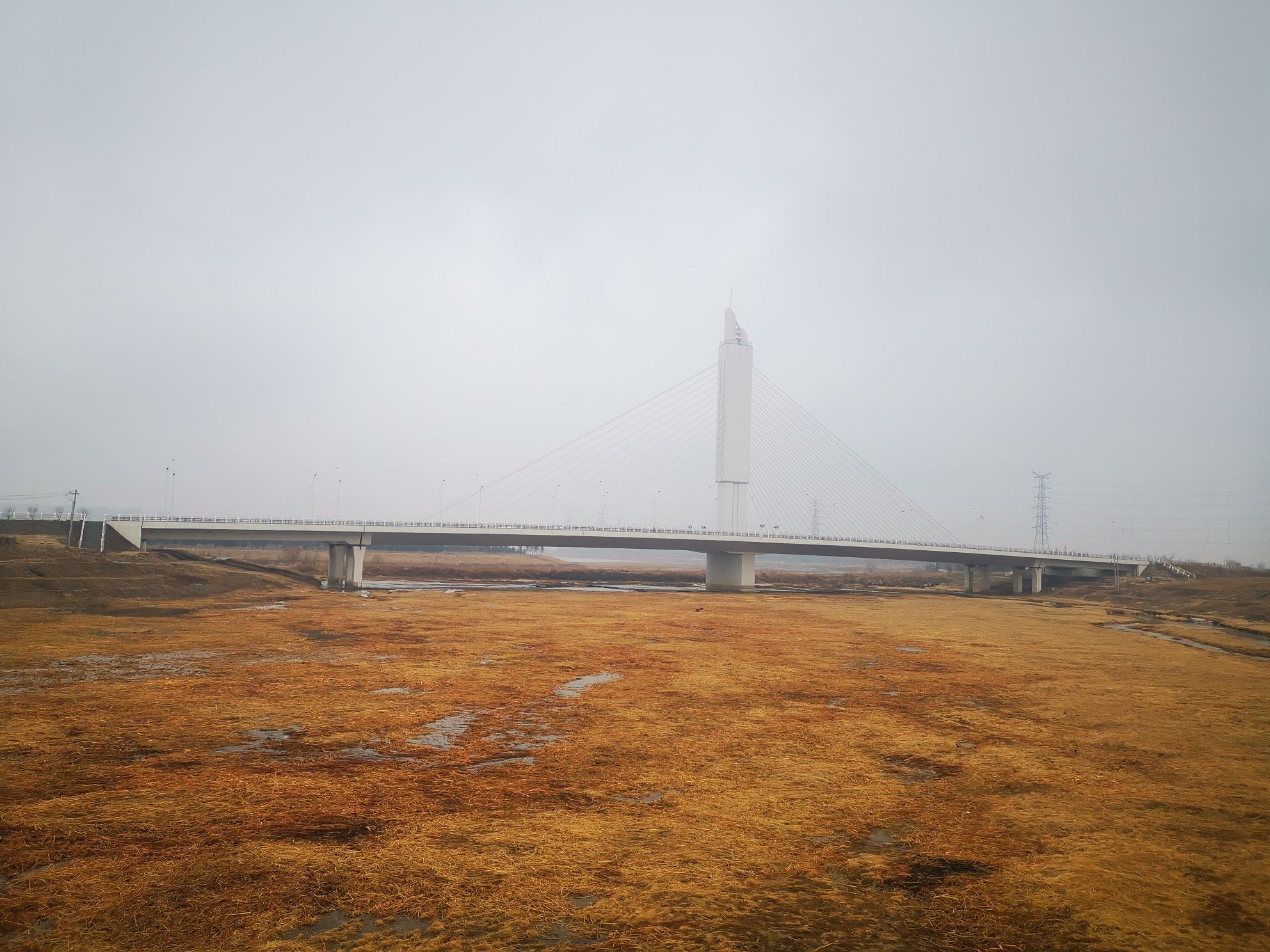 河口公园旅行图片 1