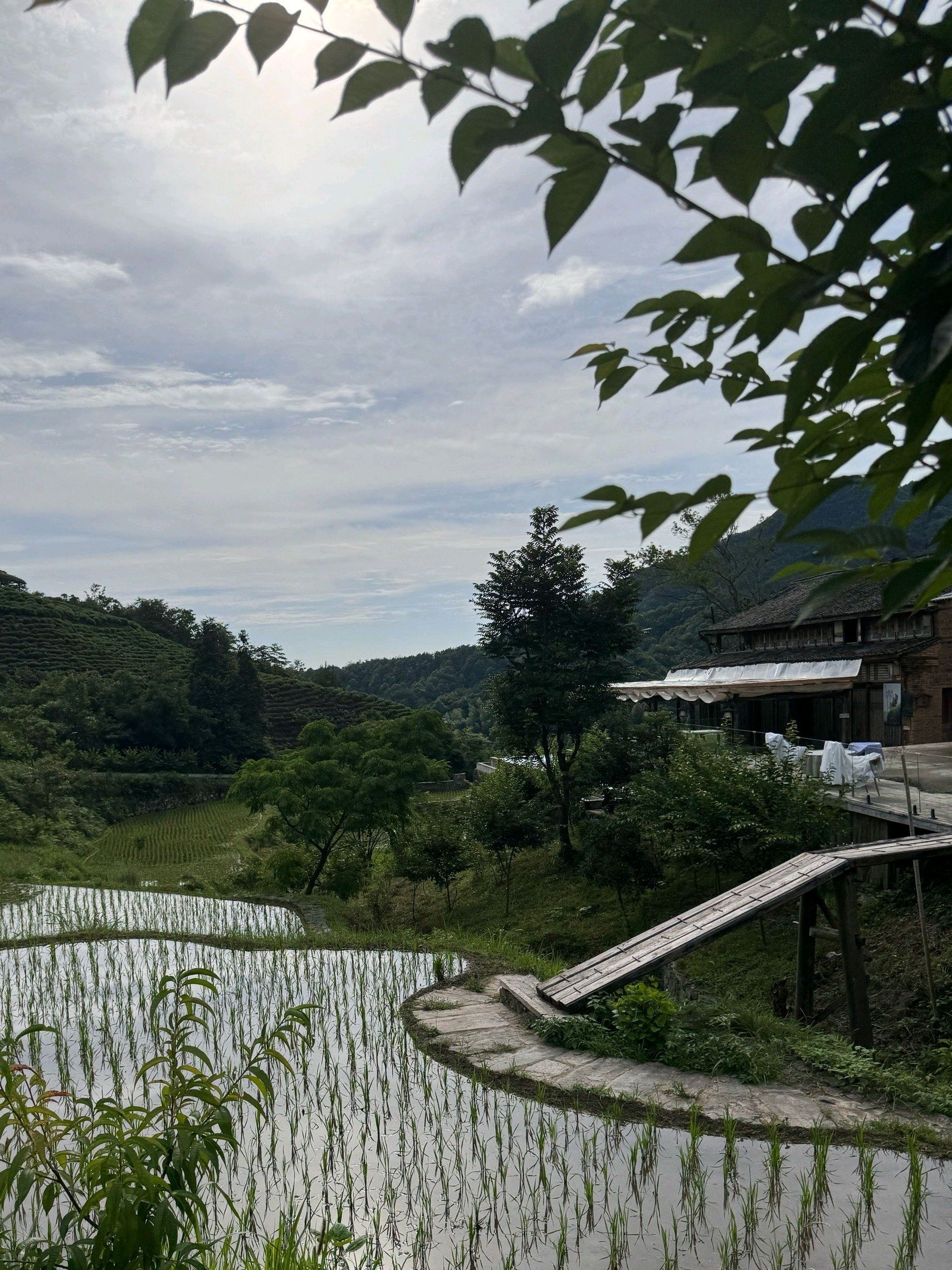 神龙居风景区旅行图片 1