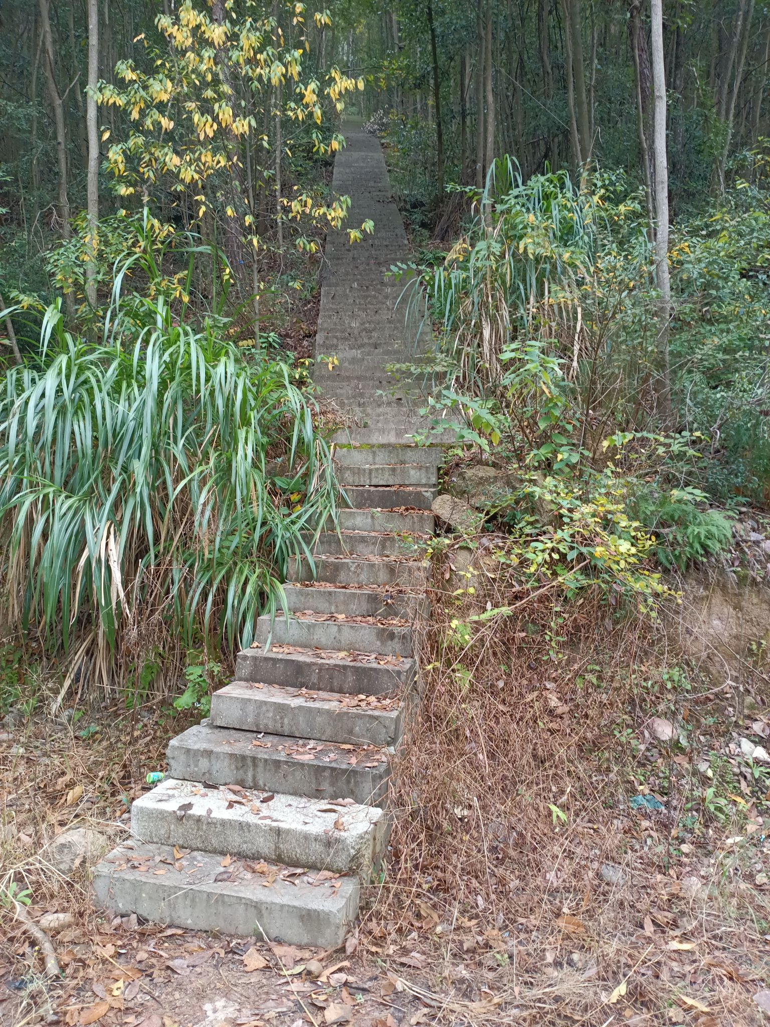 神龙居风景区旅行图片 1