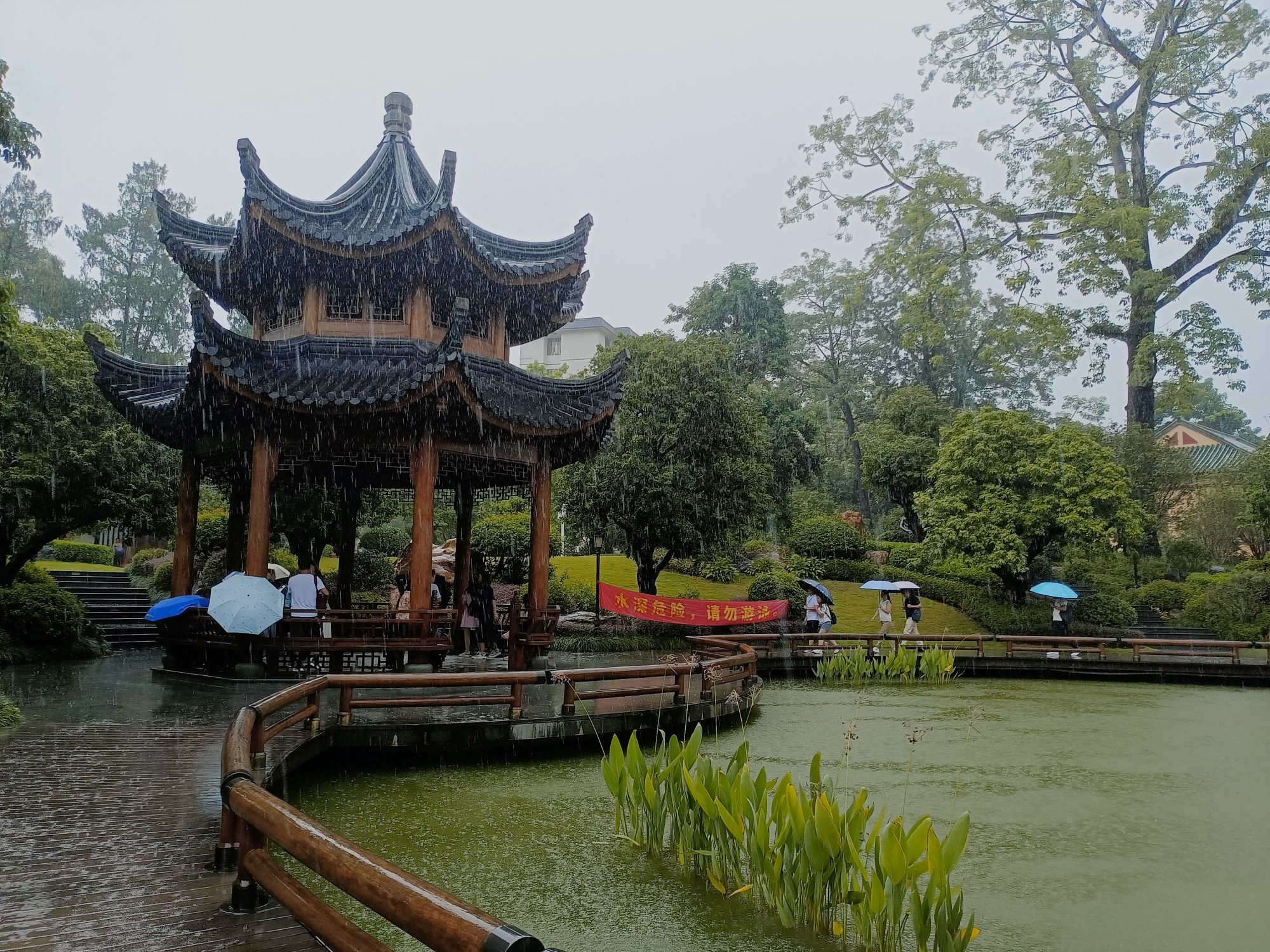 温泉荔枝蜜公园旅行图片 2