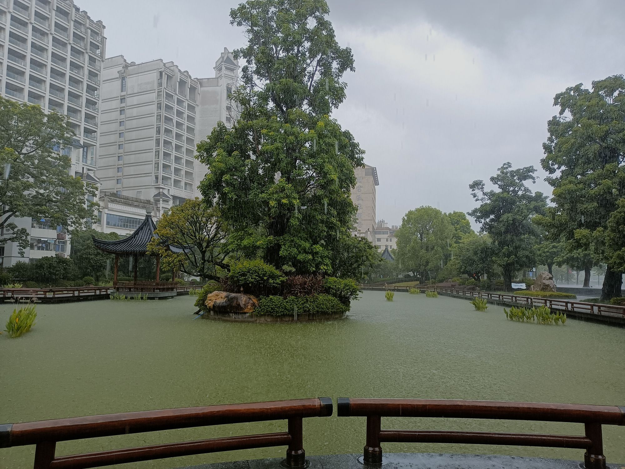 温泉荔枝蜜公园旅行图片 3