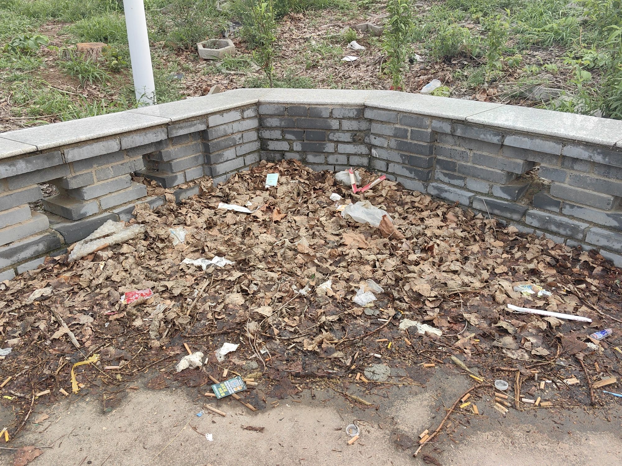 千里堤公园四十八村生态园旅行图片 3