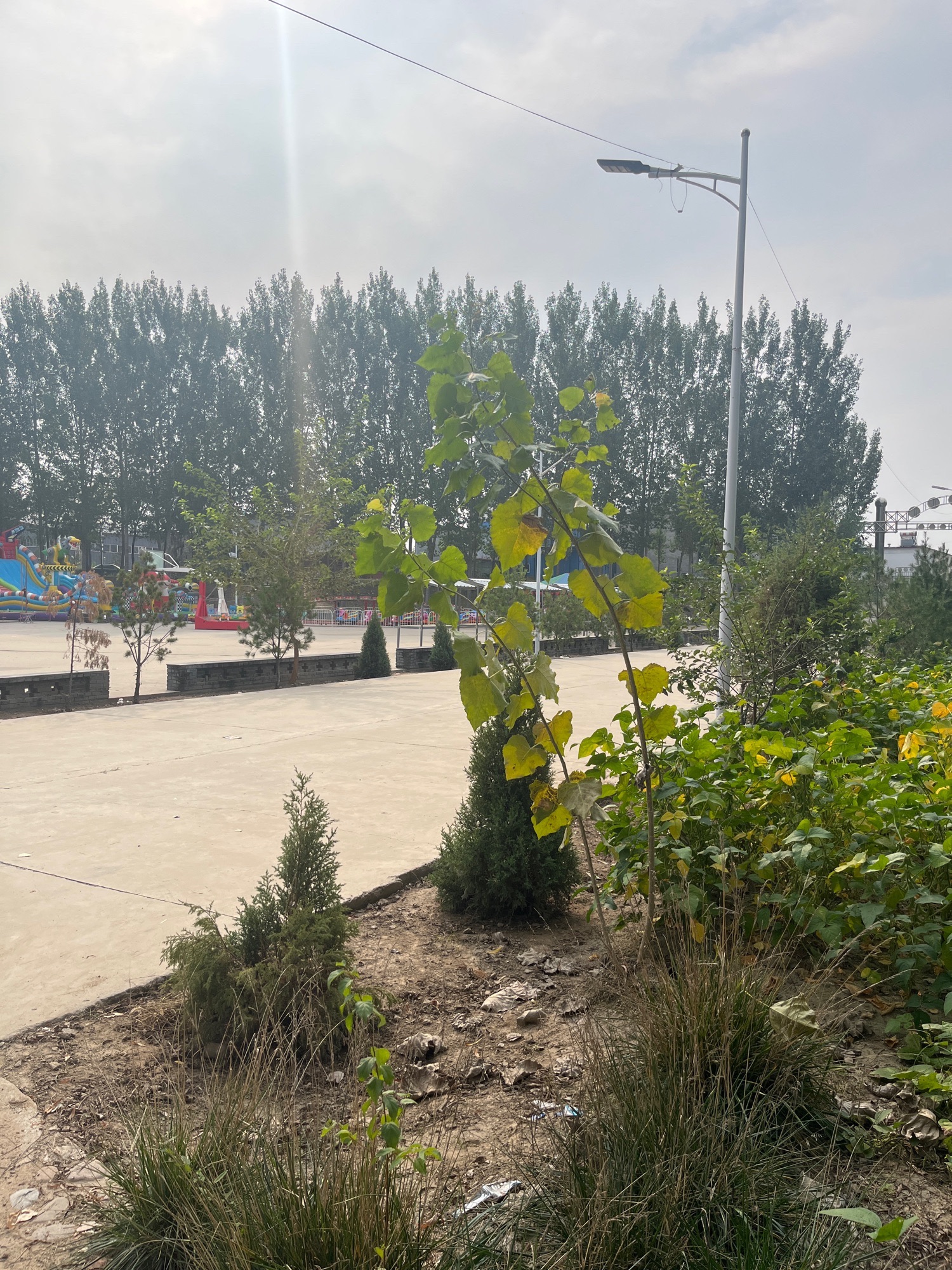 千里堤公园四十八村生态园旅行图片 1