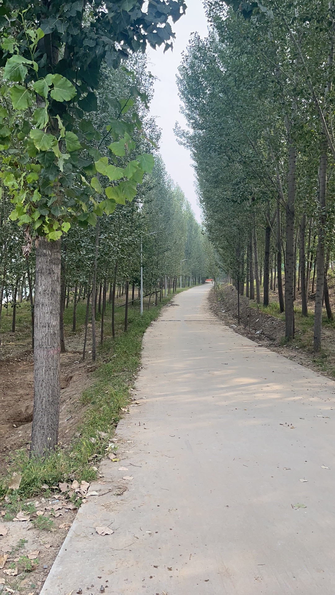 千里堤公园四十八村生态园旅行图片 3