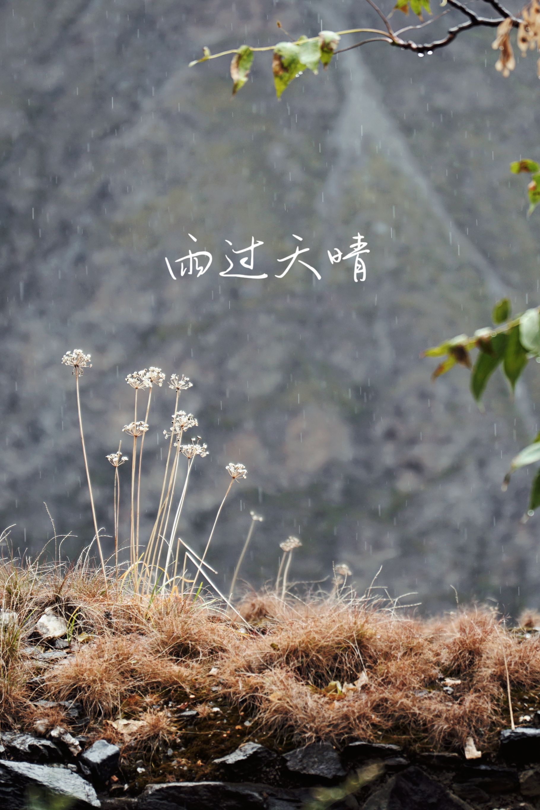 奶子沟风景区旅行图片 2