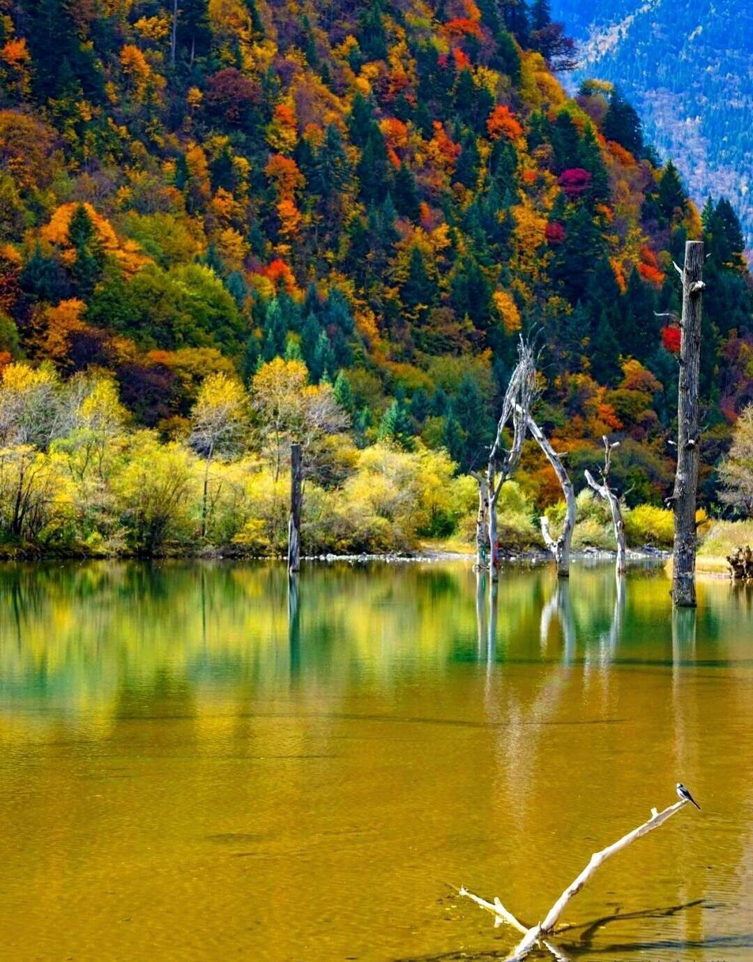 奶子沟风景区旅行图片 3