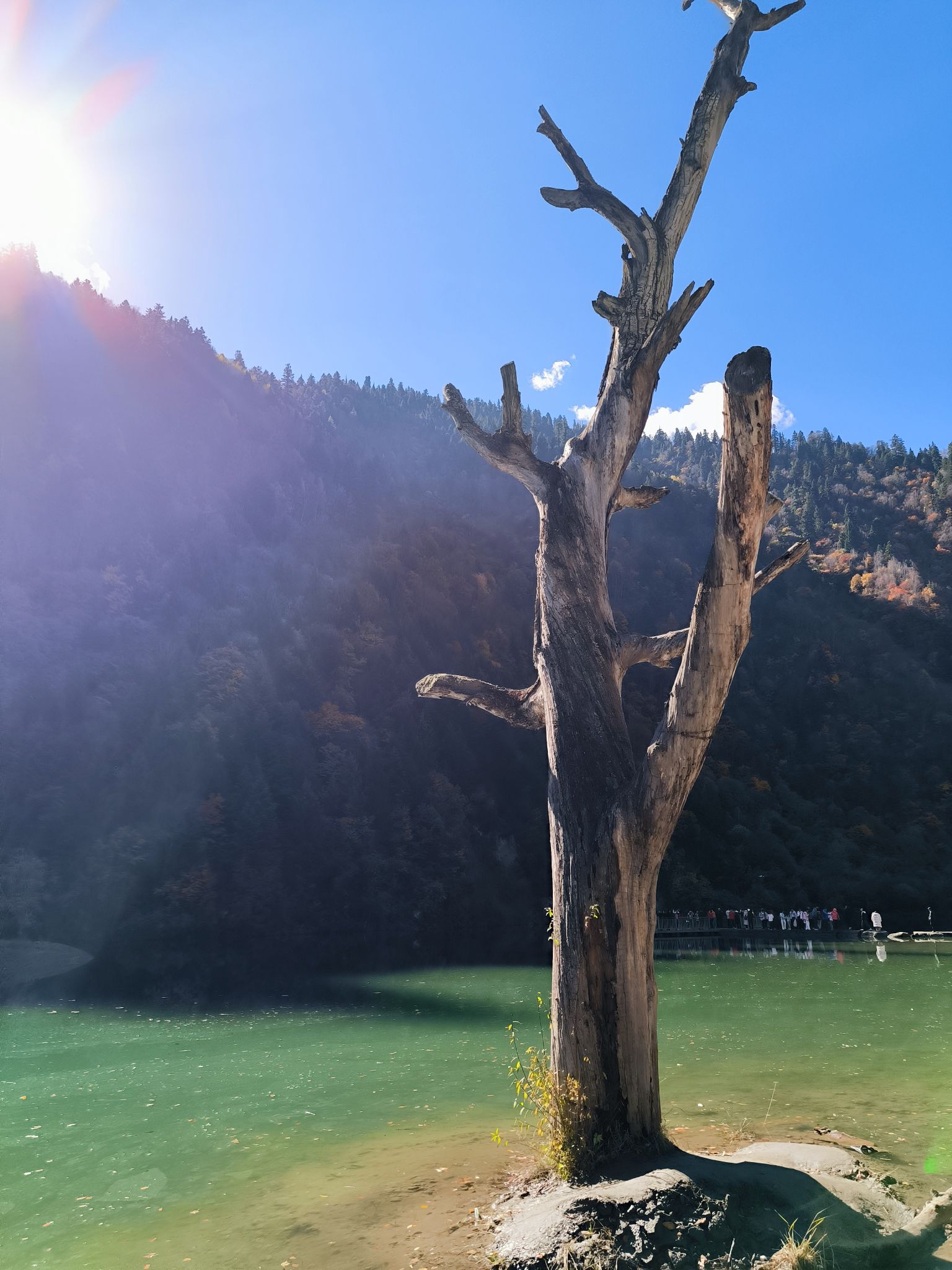 奶子沟风景区旅行图片 2