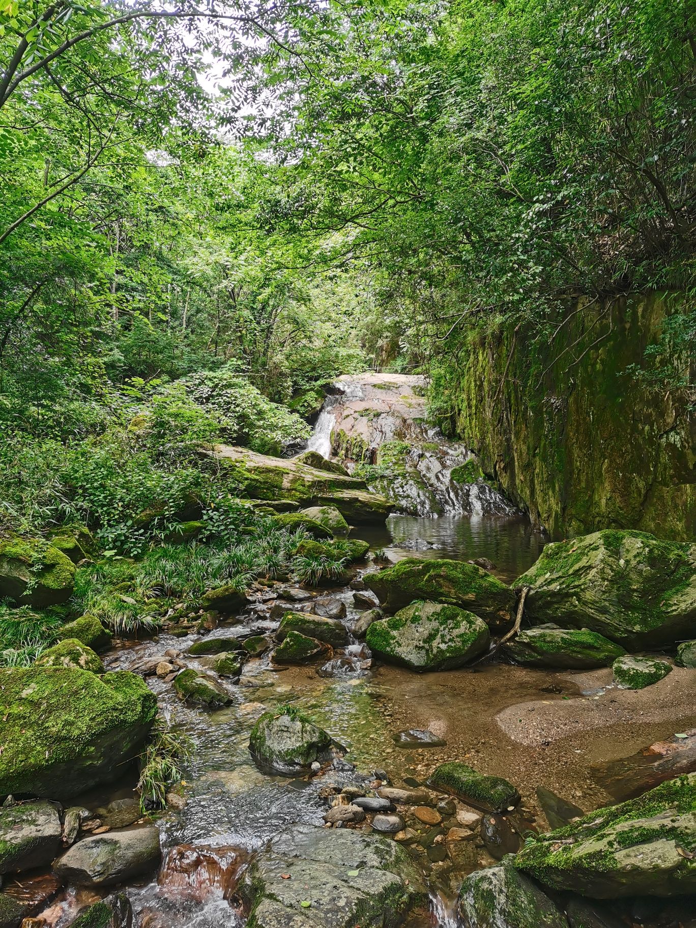 汉中褒河森林公园黄花河景区
