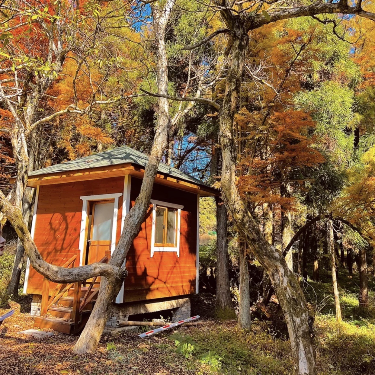 金华北山露营基地