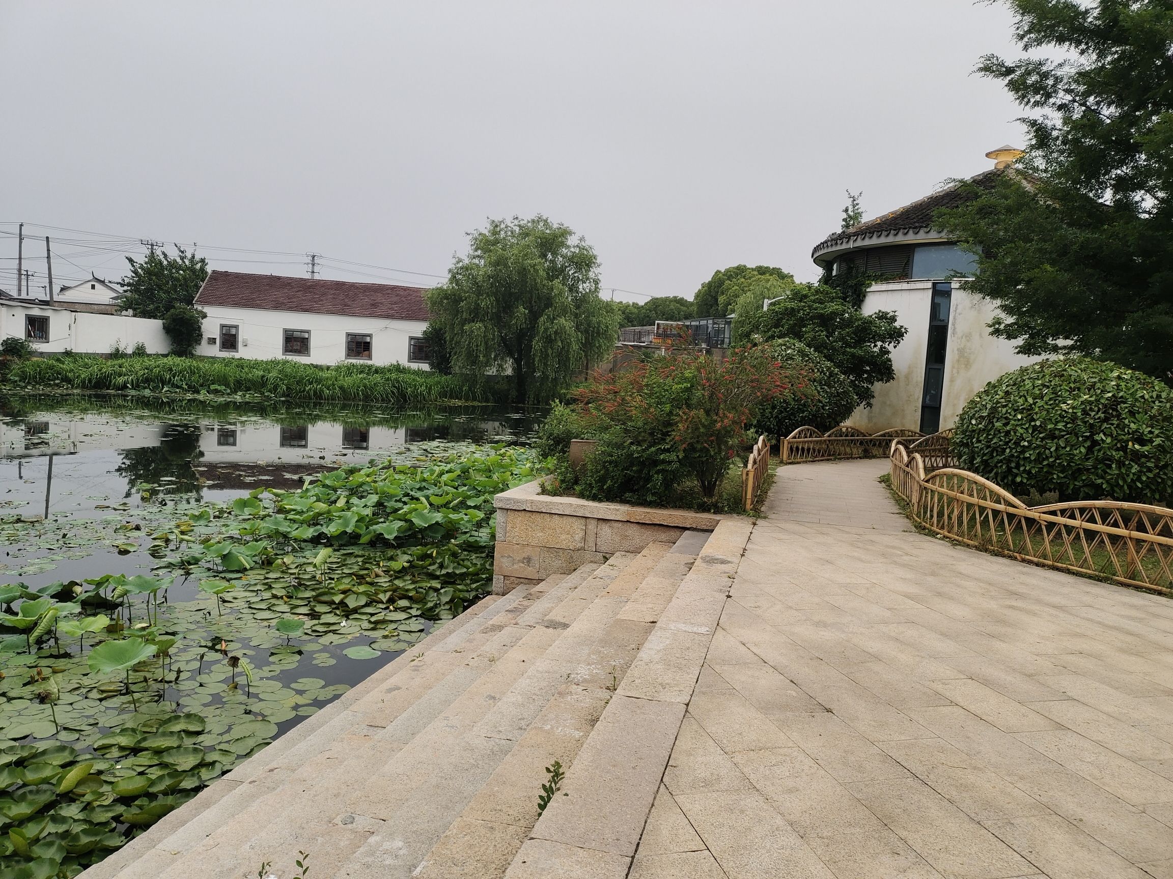 太平老街旅行图片 2