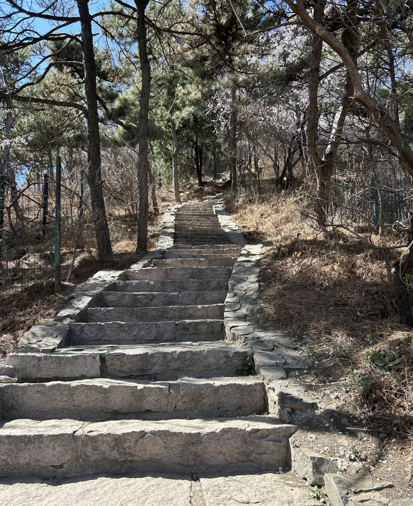 香山公园旅行图片 2