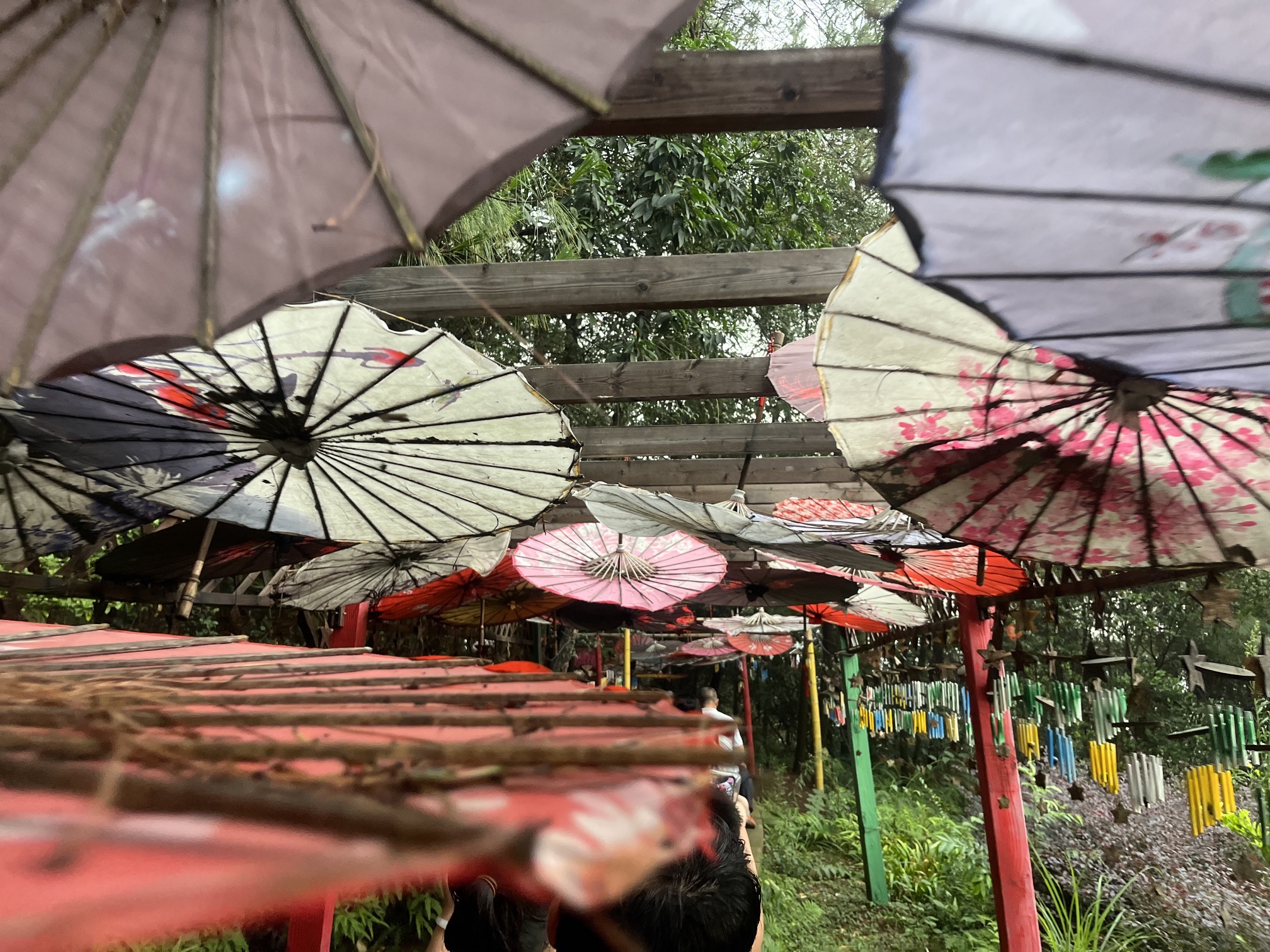 天府茶灵谷度假区旅行图片 3