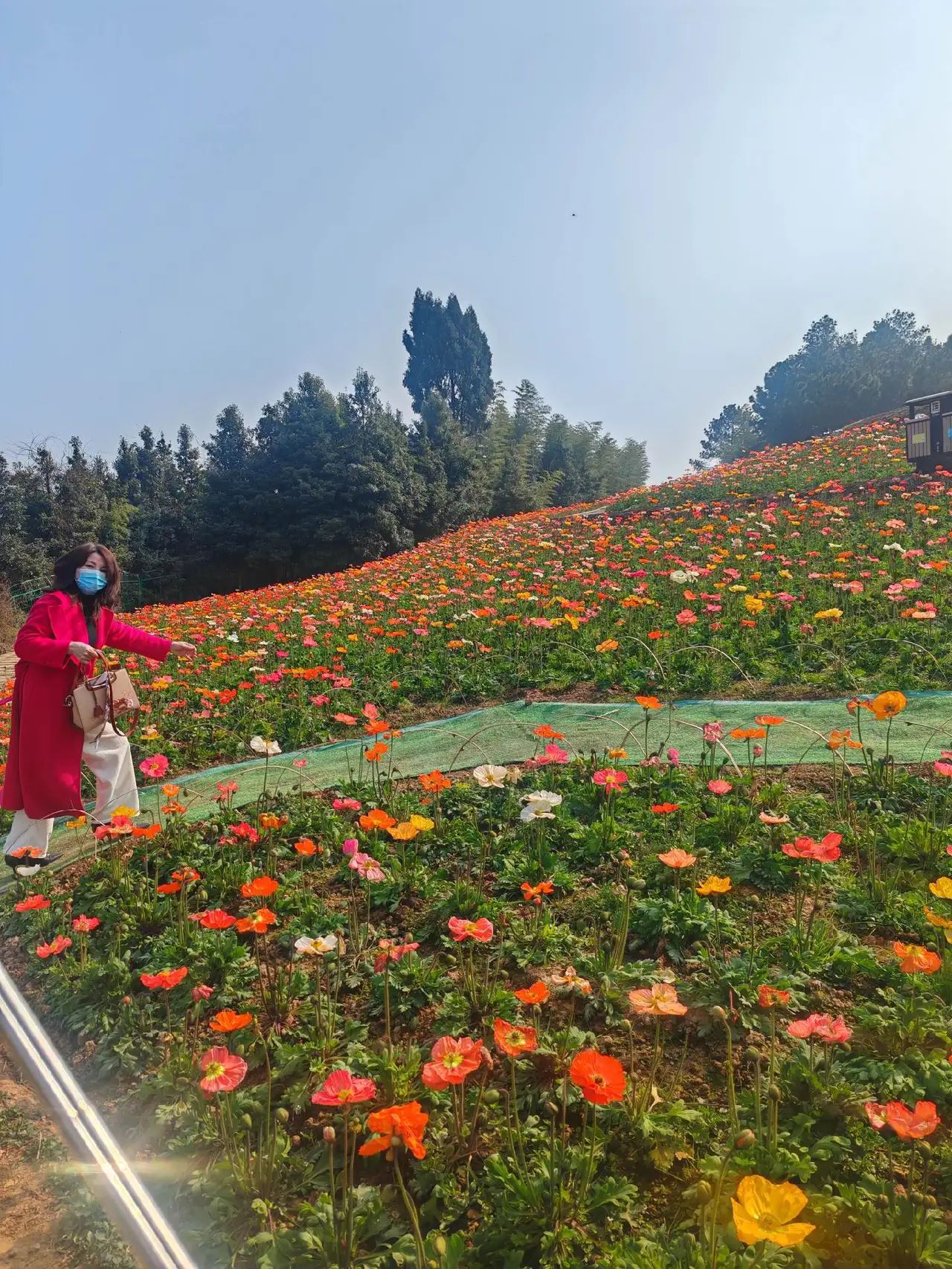 天府茶灵谷度假区旅行图片 1
