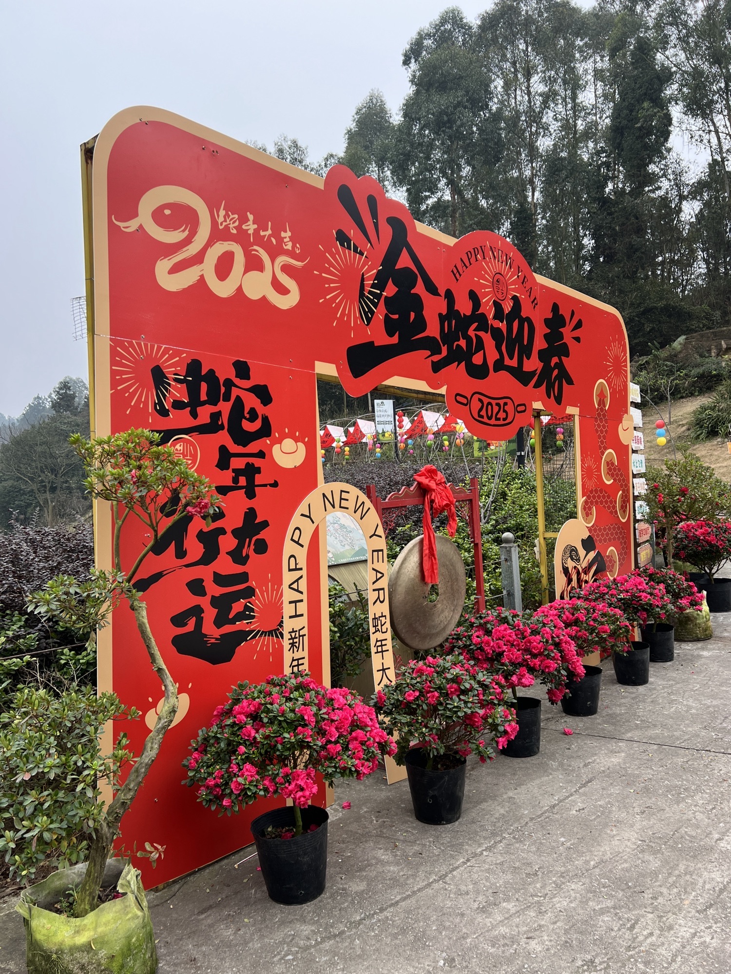 天府茶灵谷度假区旅行图片 2