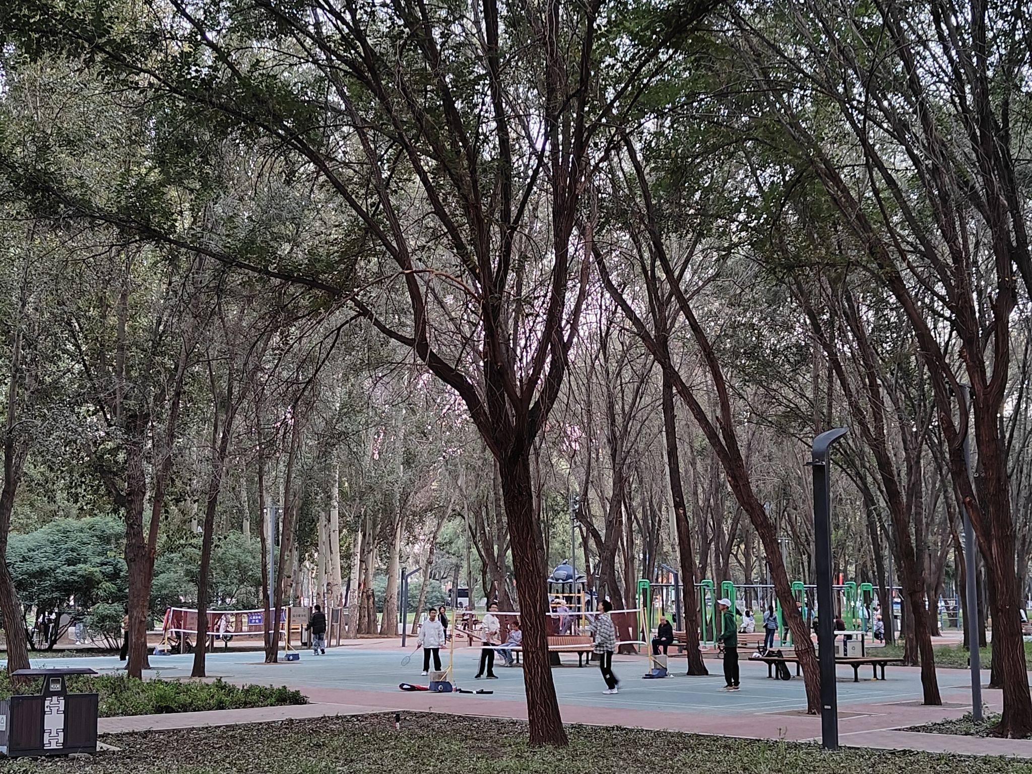 包头市森林公园旅行图片 3