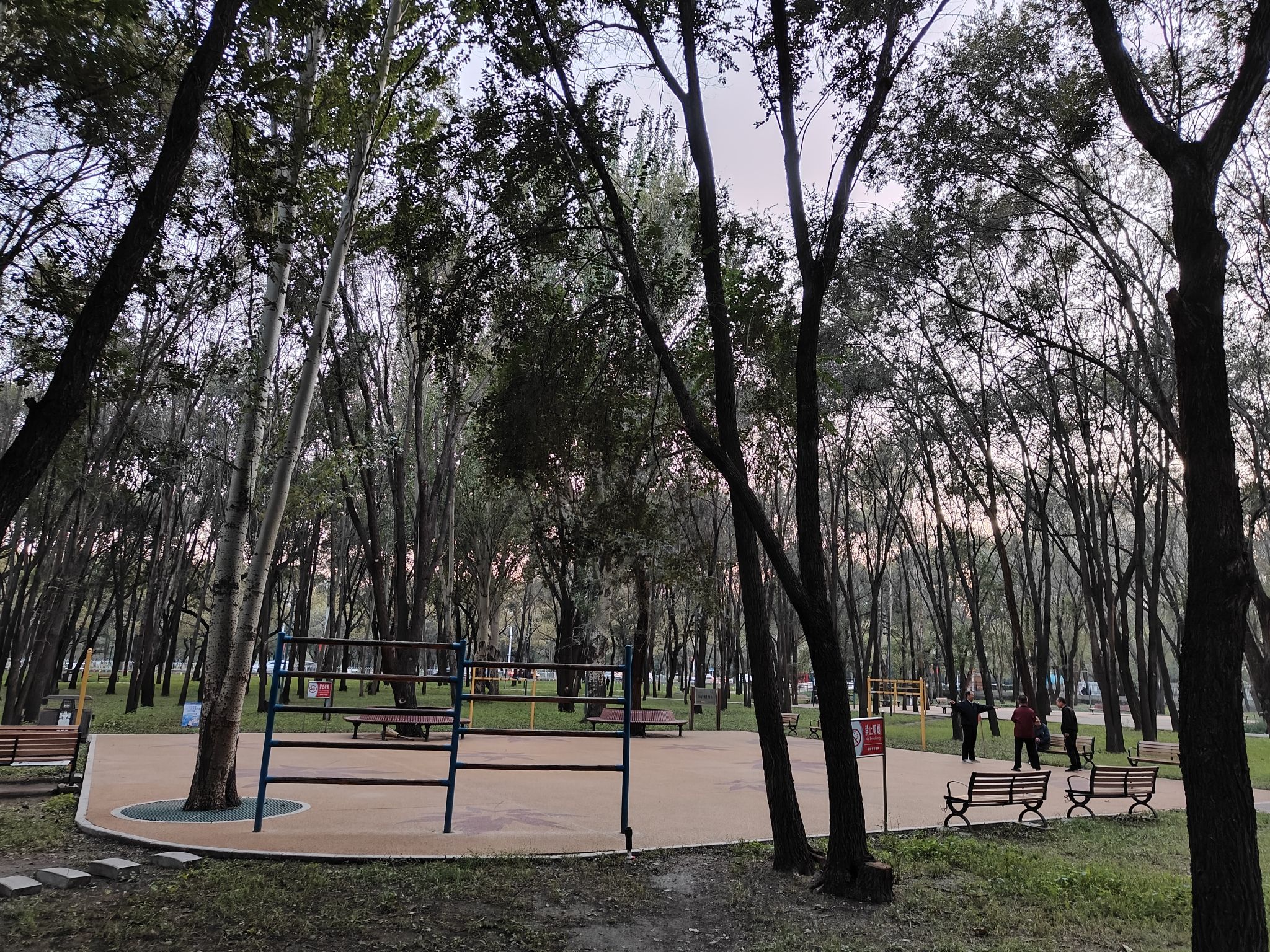 包头市森林公园旅行图片 2