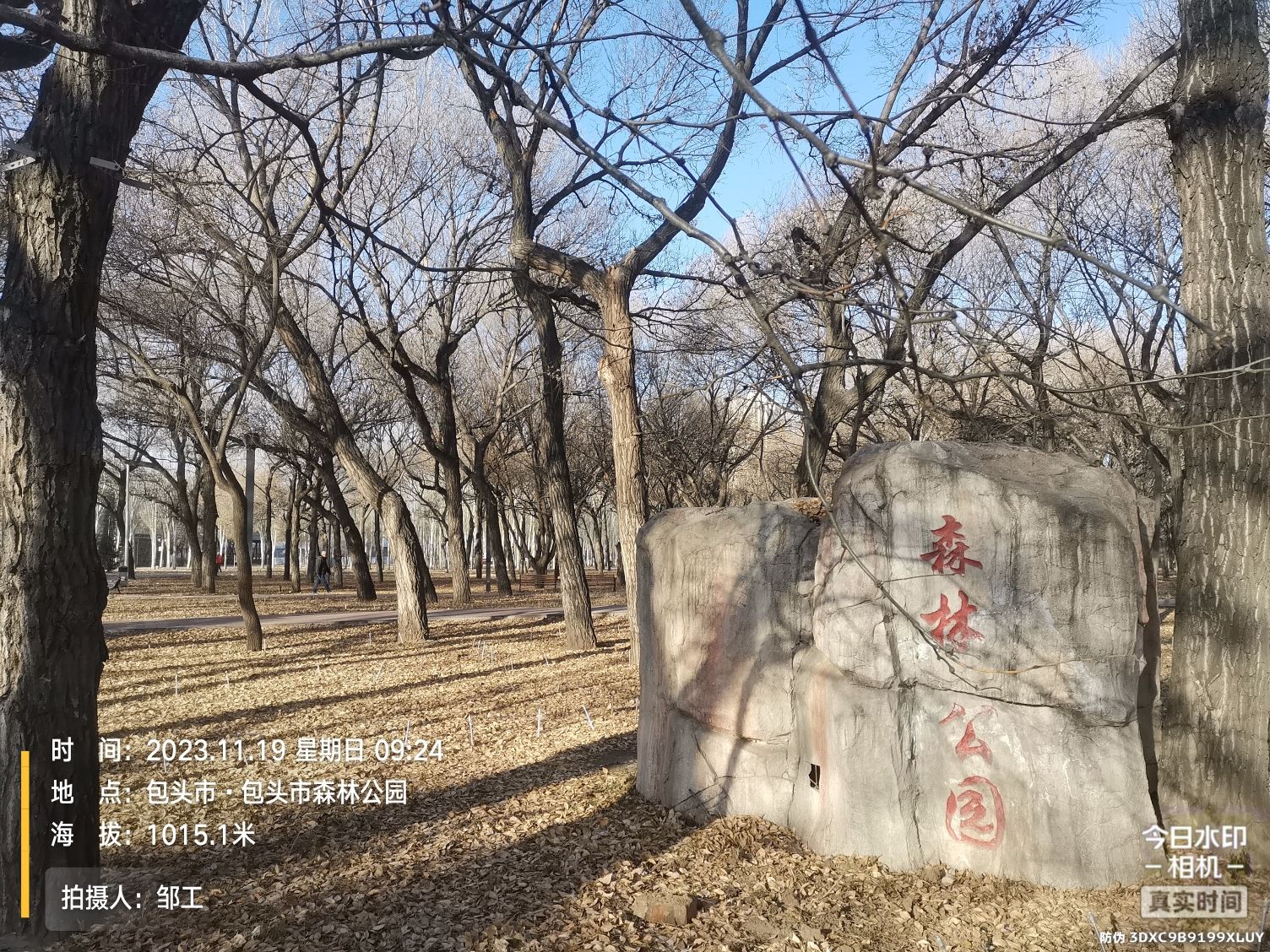 包头市森林公园旅行图片 1