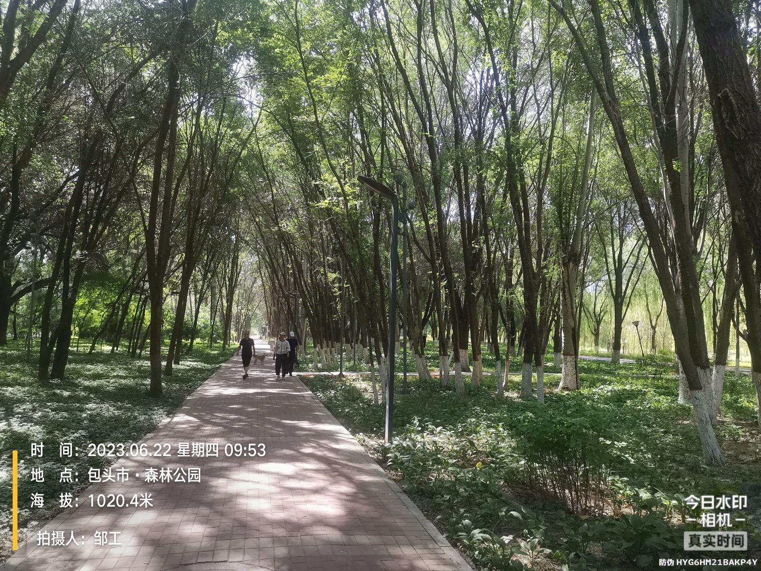 包头市森林公园旅行图片 2